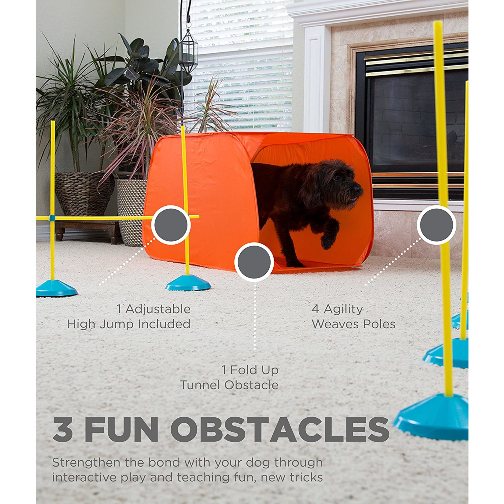 dog agility equipment manufacturers