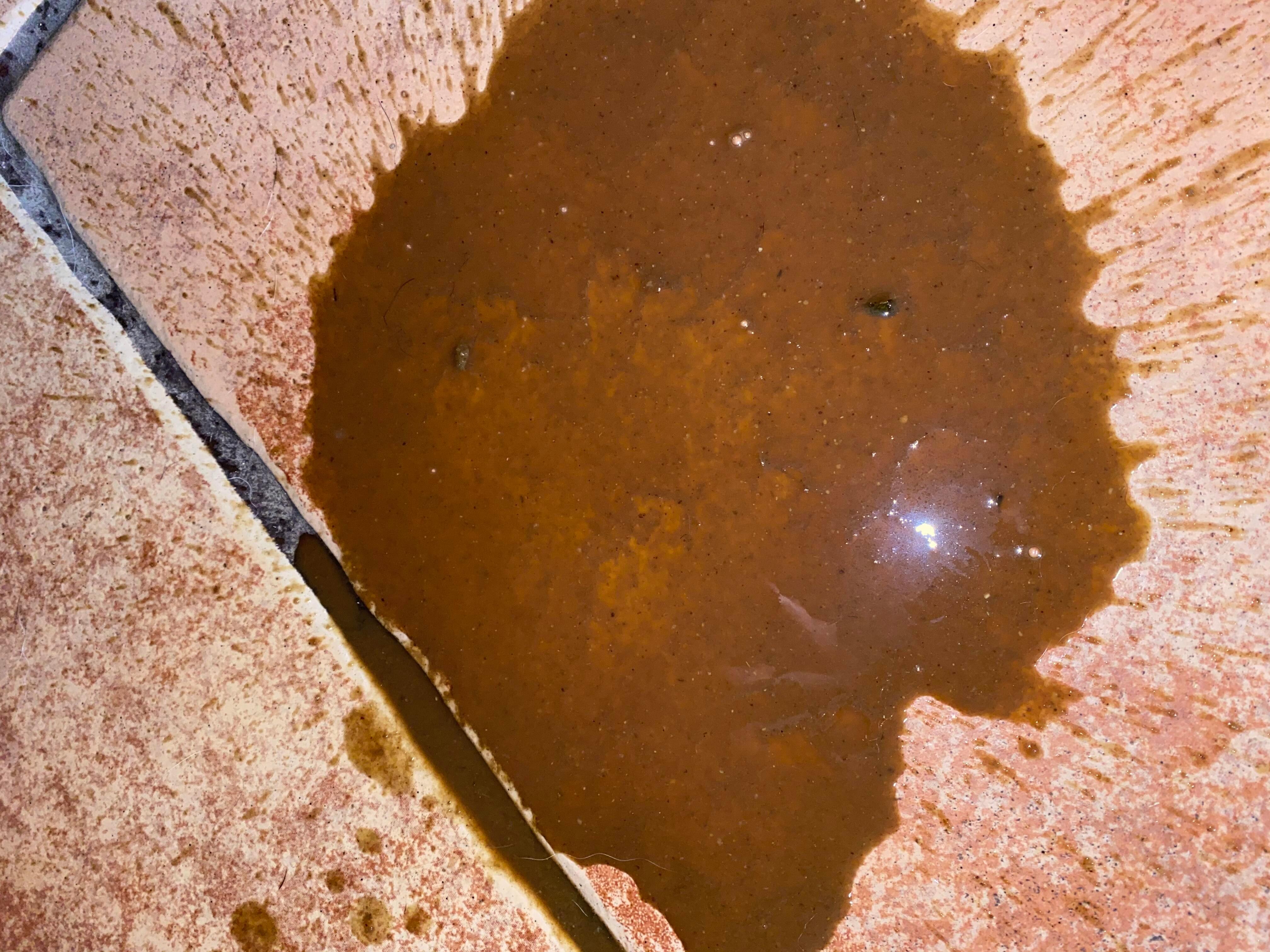 Puppy threw up 8 times after lake. Should I take him to vet? | Petco