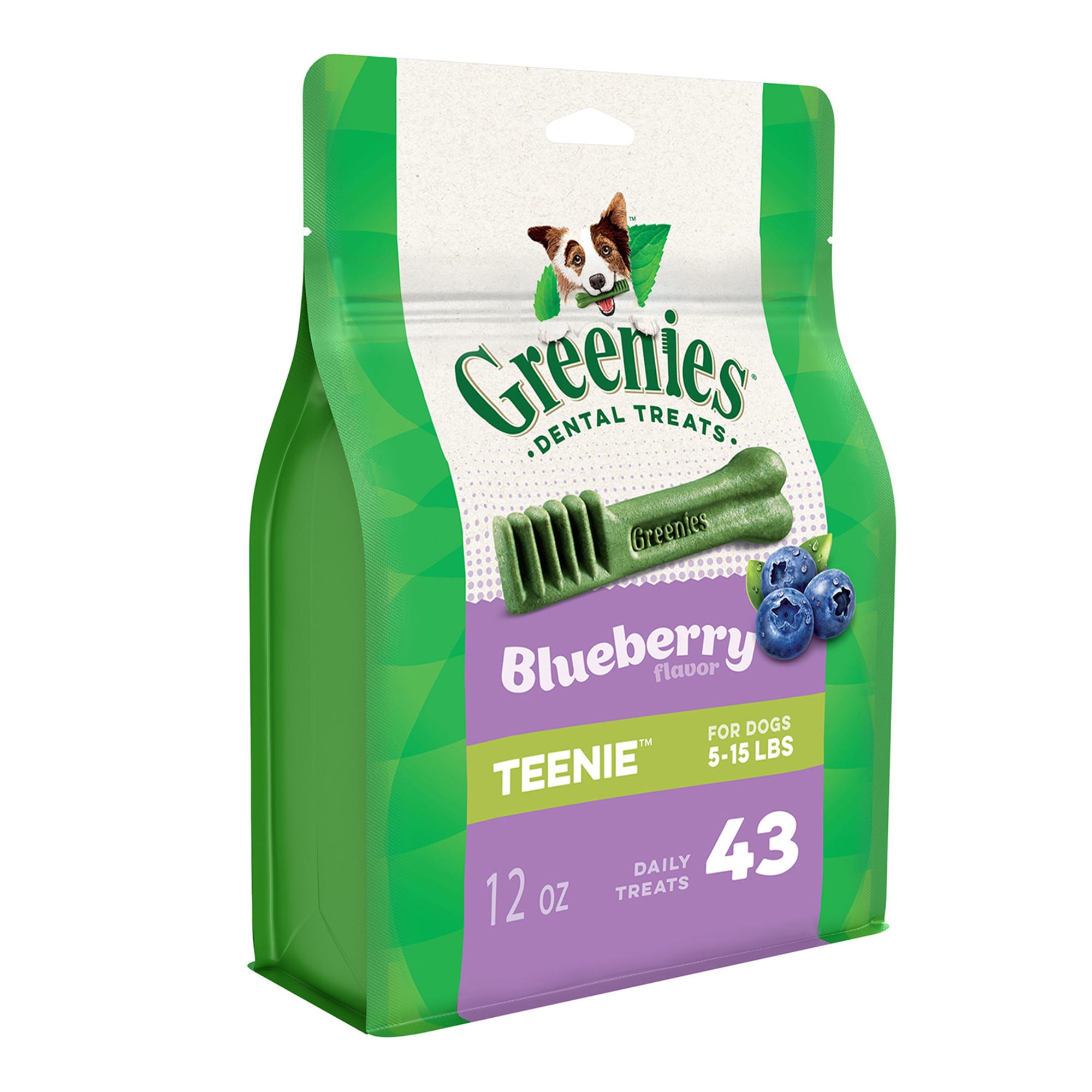 Blueberry 2024 greenies large