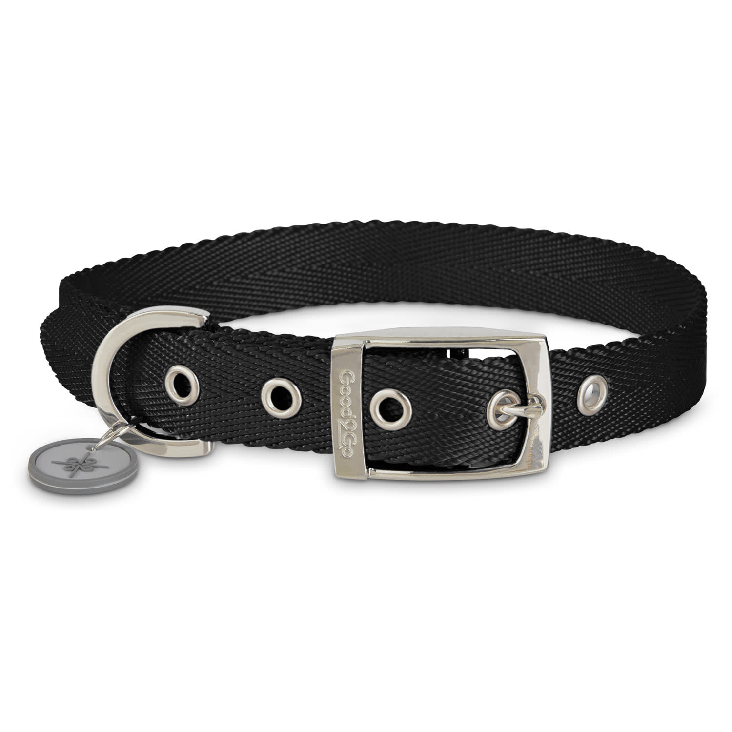 dog collar with name on buckle