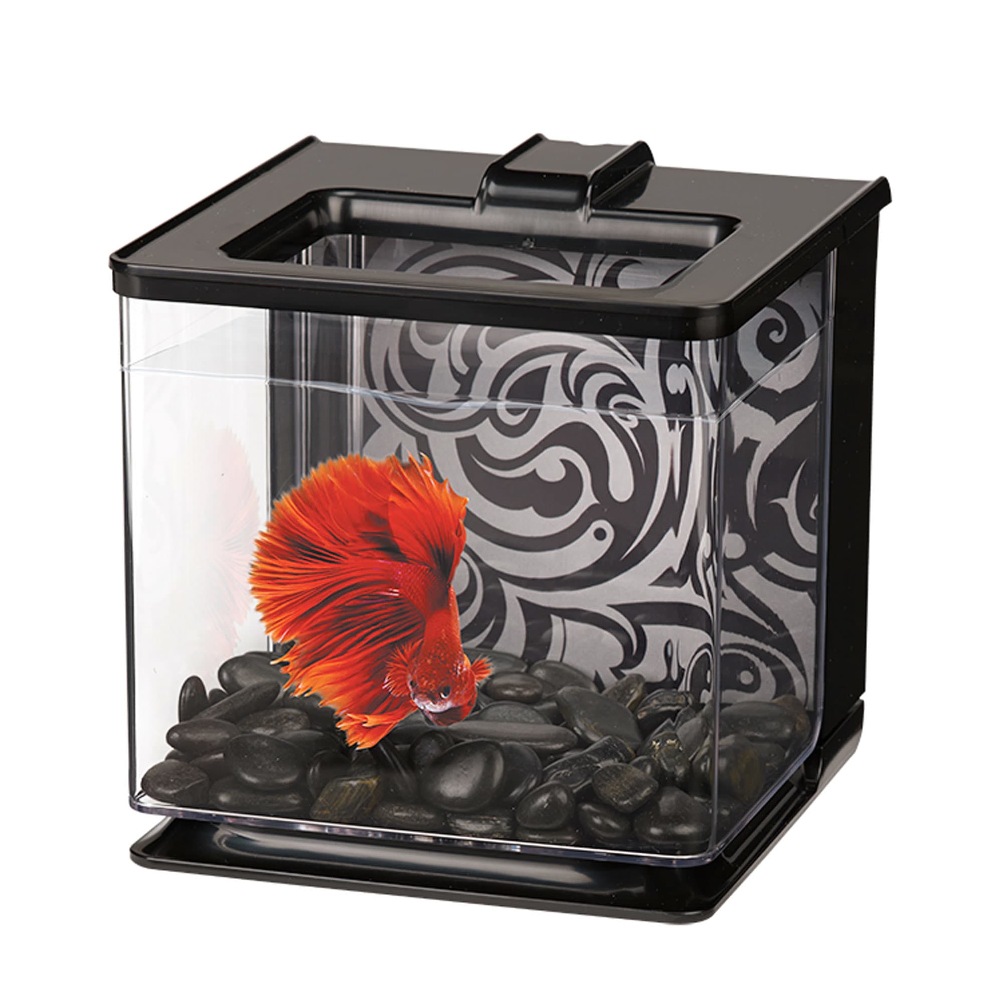 Marina 0 7 Gallon Betta Ez Care Aquarium Kit Black Petco