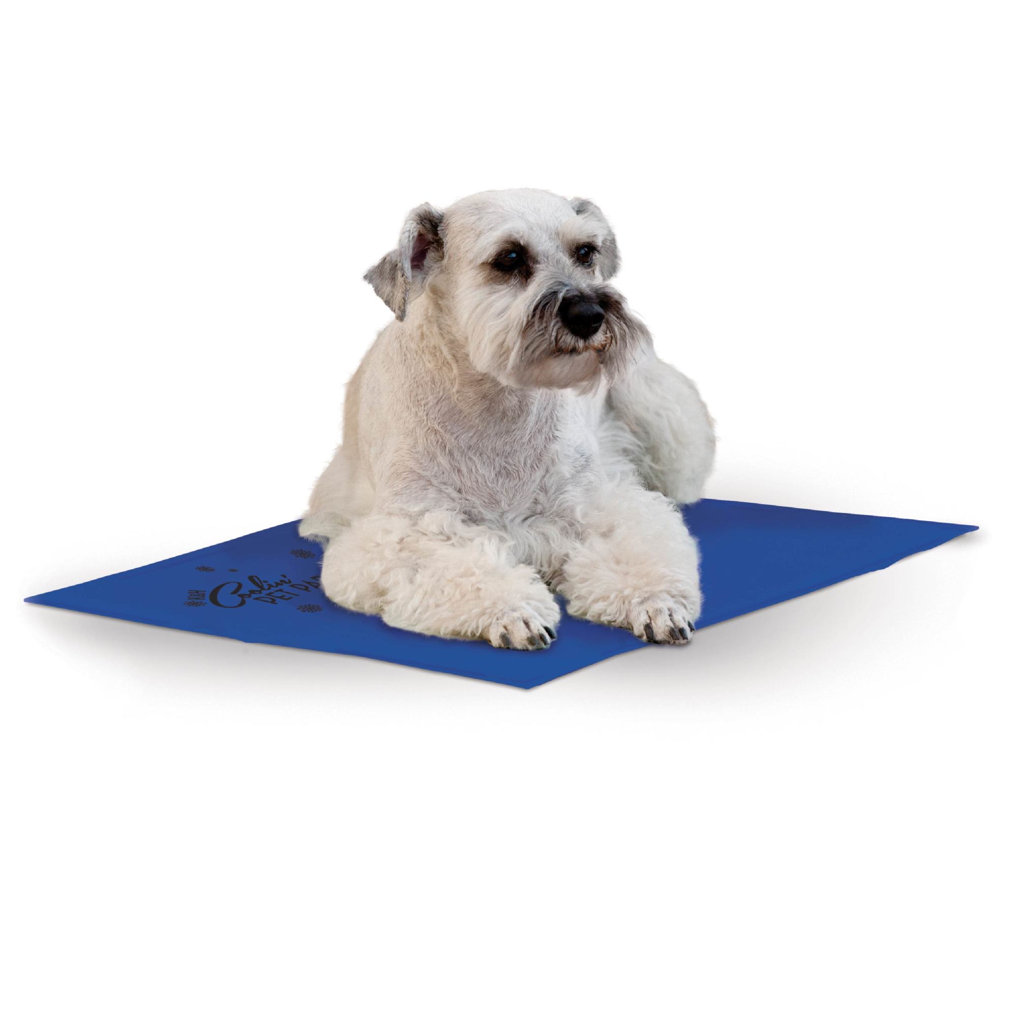 Petco 2025 cooling mat