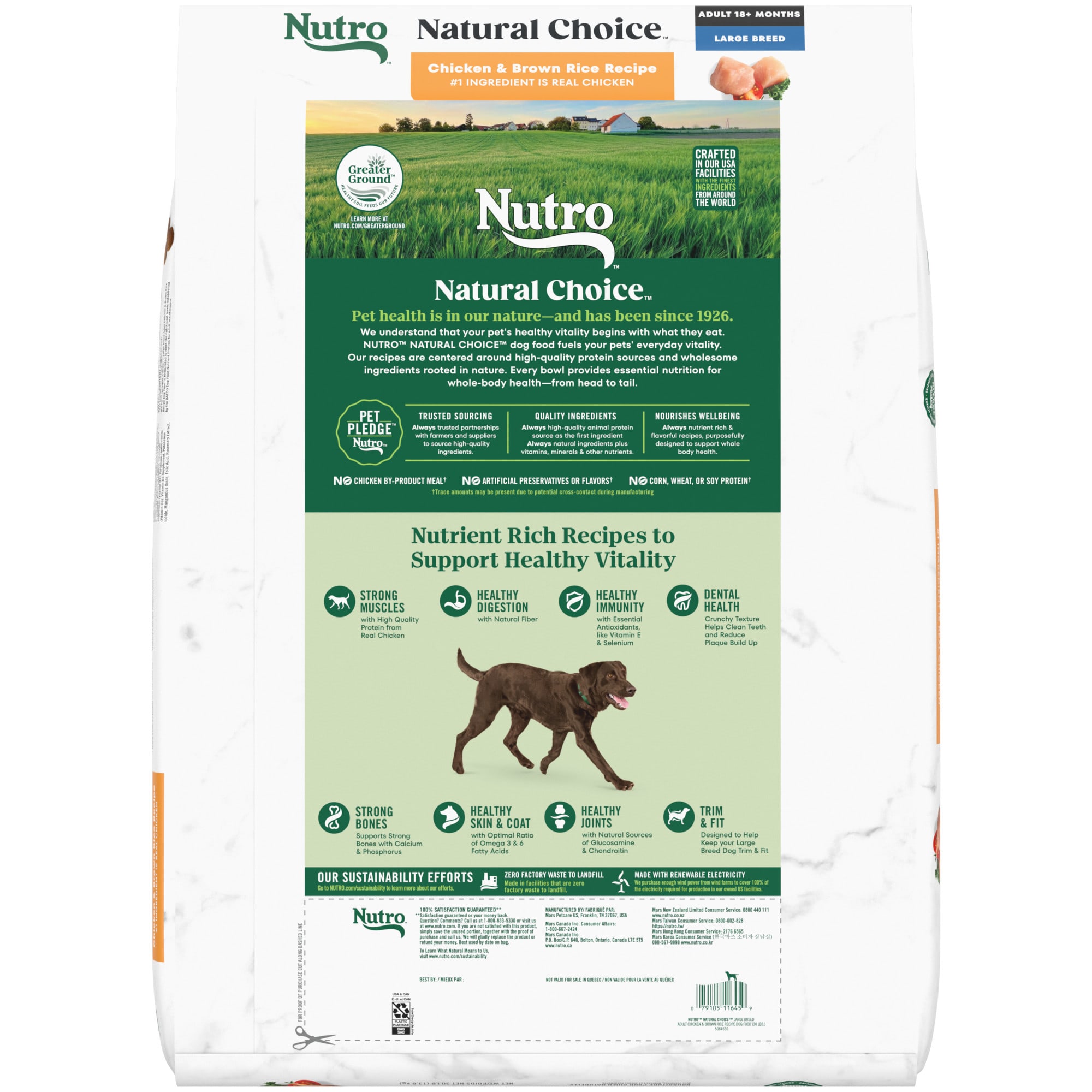 Nutro wholesome essentials large breed adult hot sale chicken & rice dry dog food