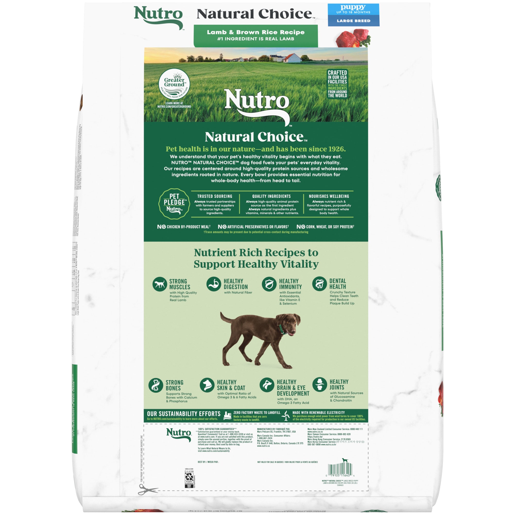 Nutro large 2025 breed puppy lamb