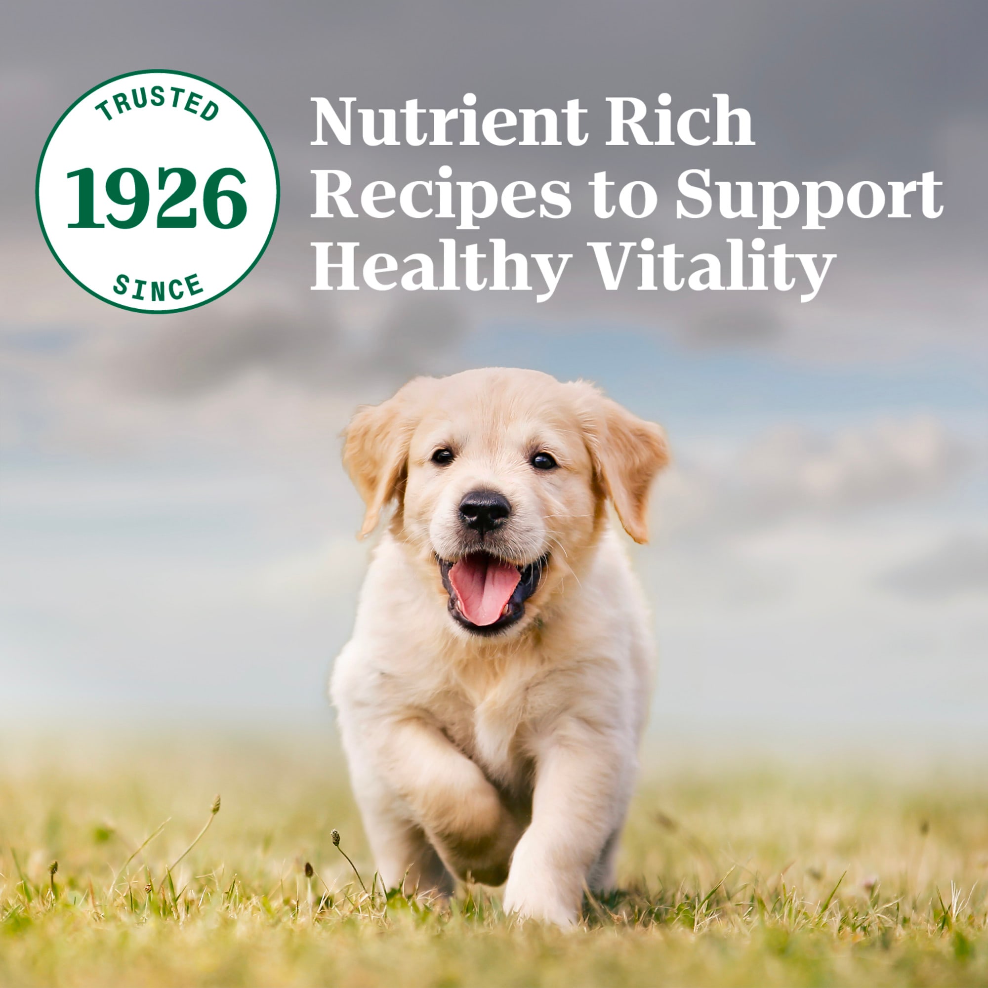 NUTRO NATURAL CHOICE Puppy Dry Dog Food Chicken Brown Rice