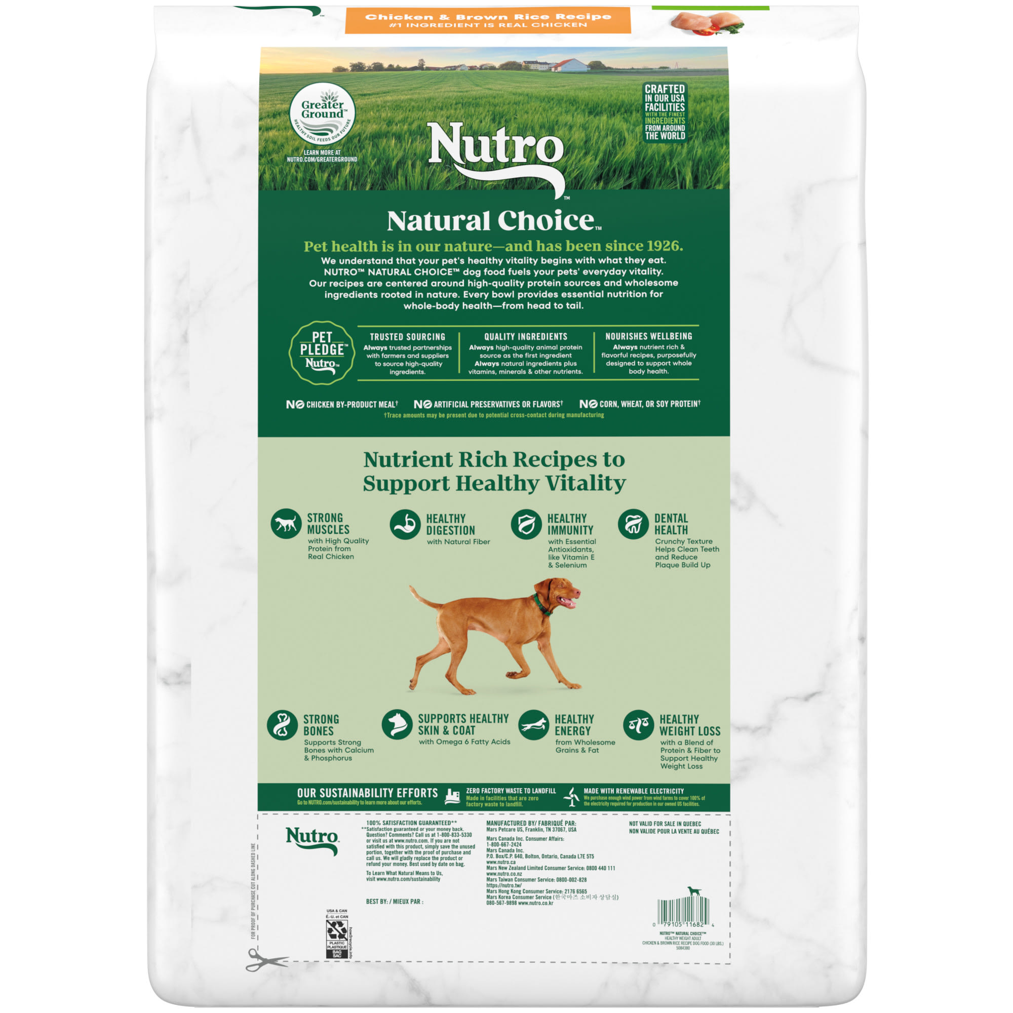 Nutro max dog food petco best sale