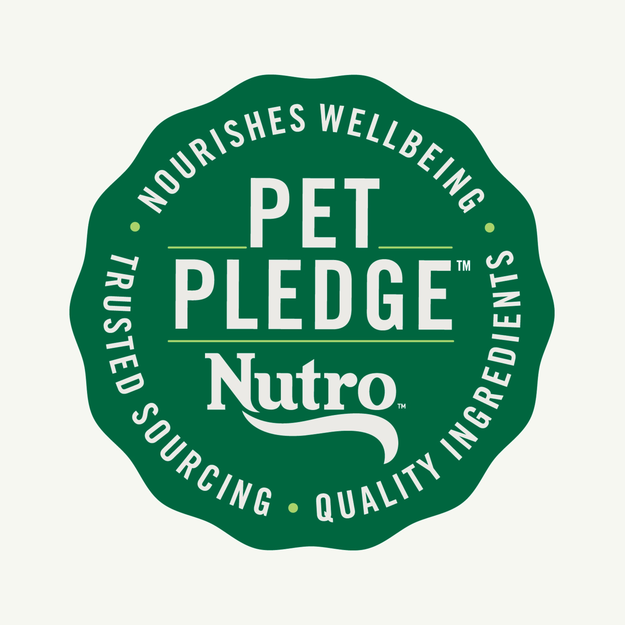 Nutro healthy clearance weight large breed