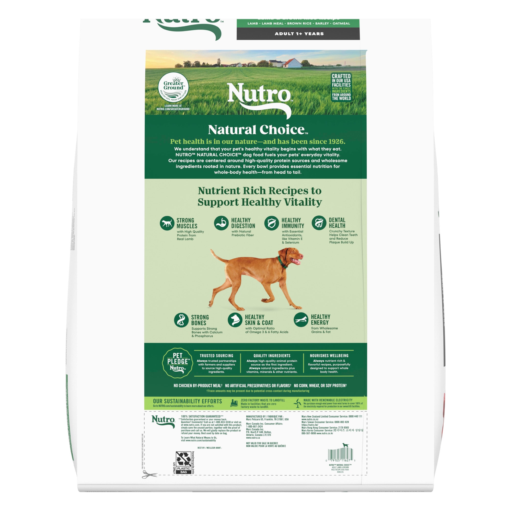 nutro puppy food petco