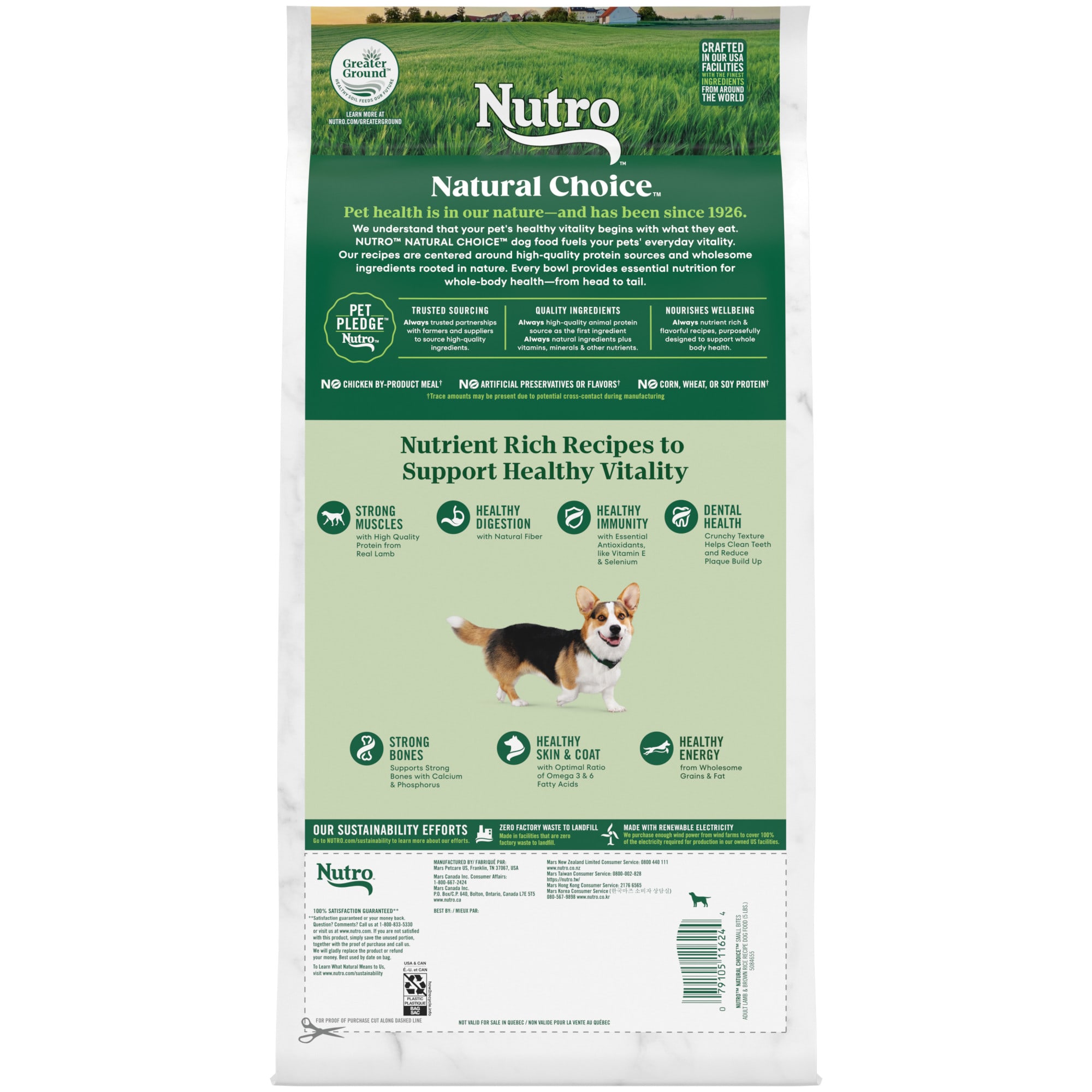 Nutro dog hotsell food 5 lbs