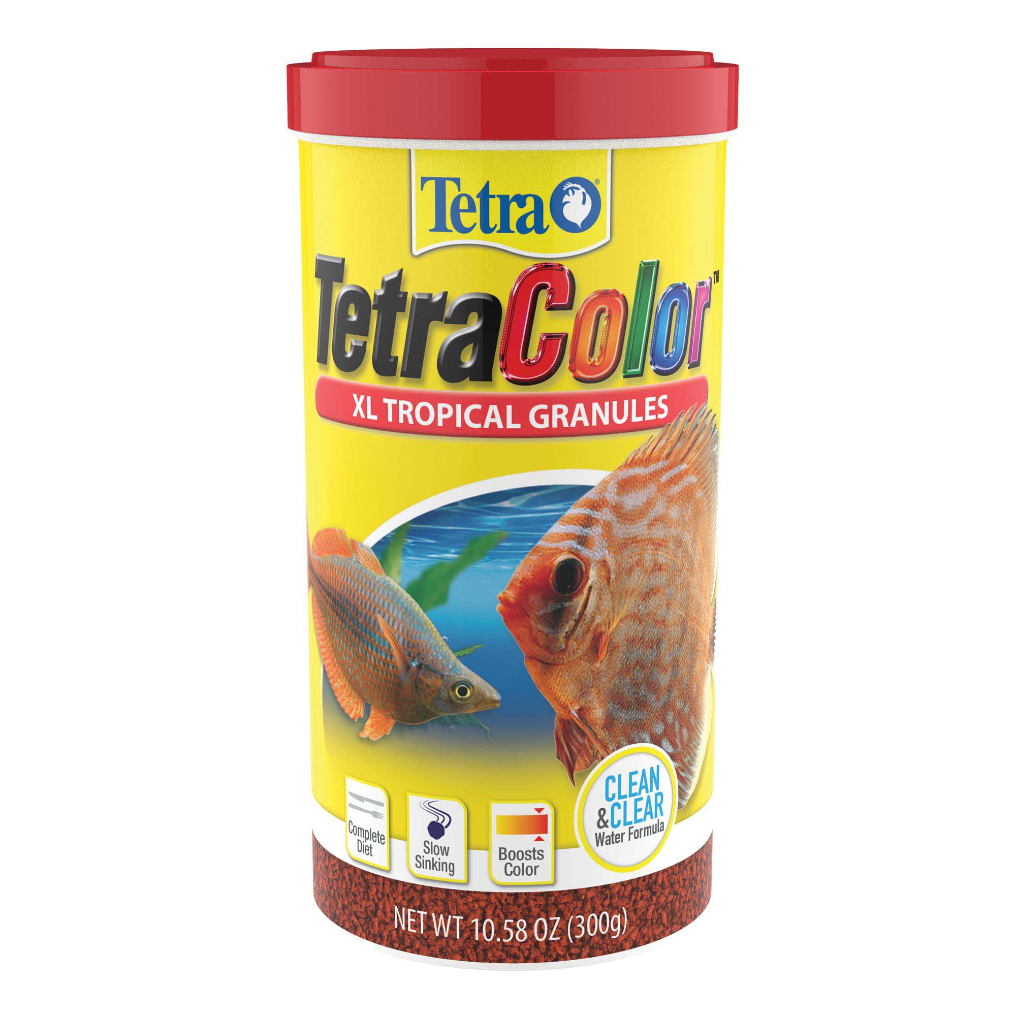 discus fish petco