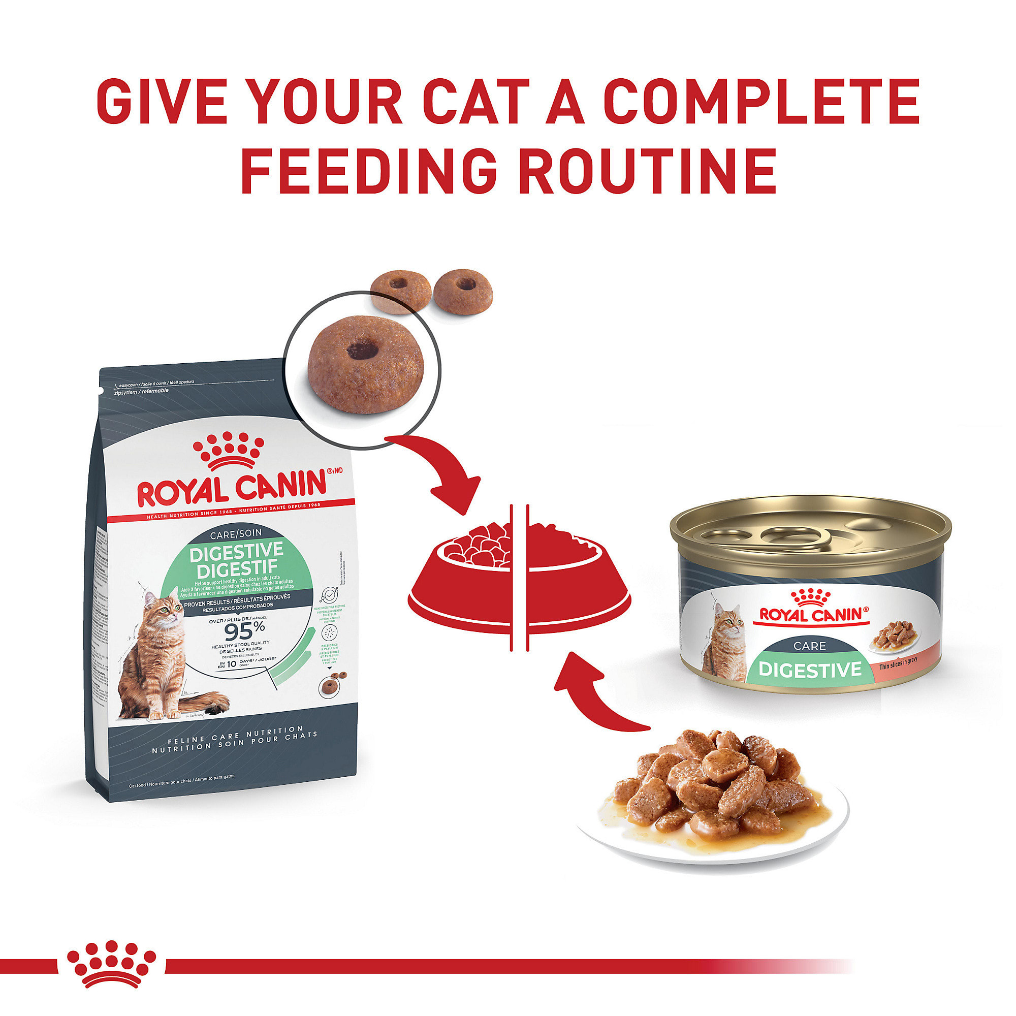 Royal Canin Digestive Care Dry Cat Food 6 lbs. Petco