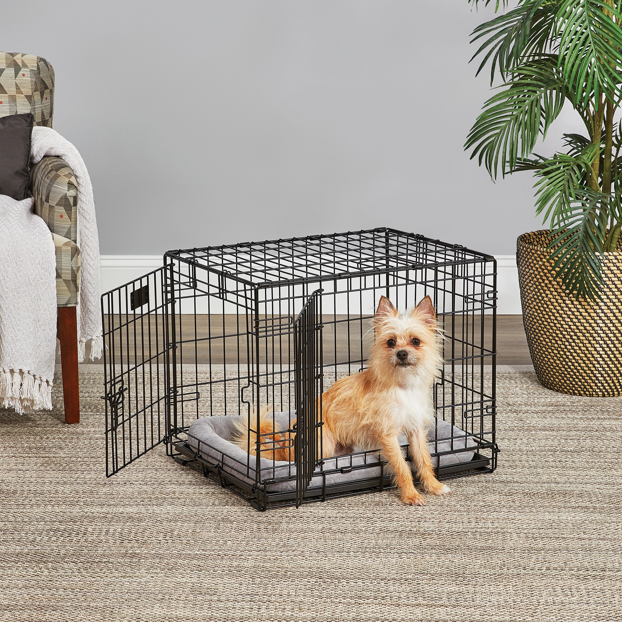 midwest life stages double door folding metal dog crate