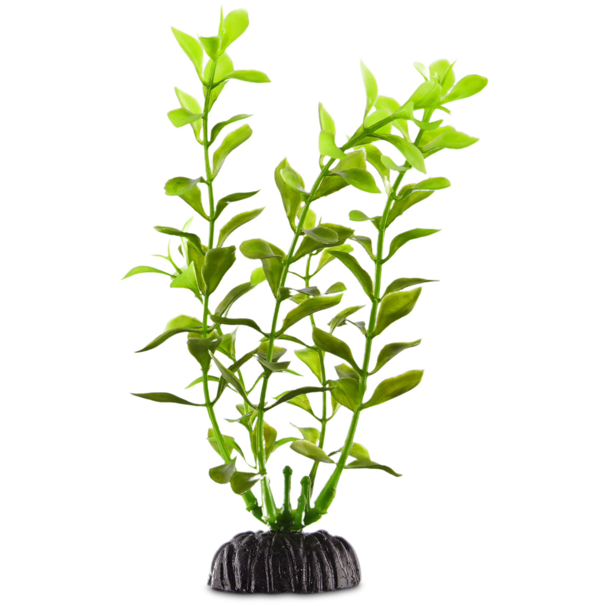 thumbnail image 2 of Deep Blue Professional Green Ludwigia Plastic Aquarium Plant – Anchor Included – Sizes 6 To 24 Inches 2 of 3