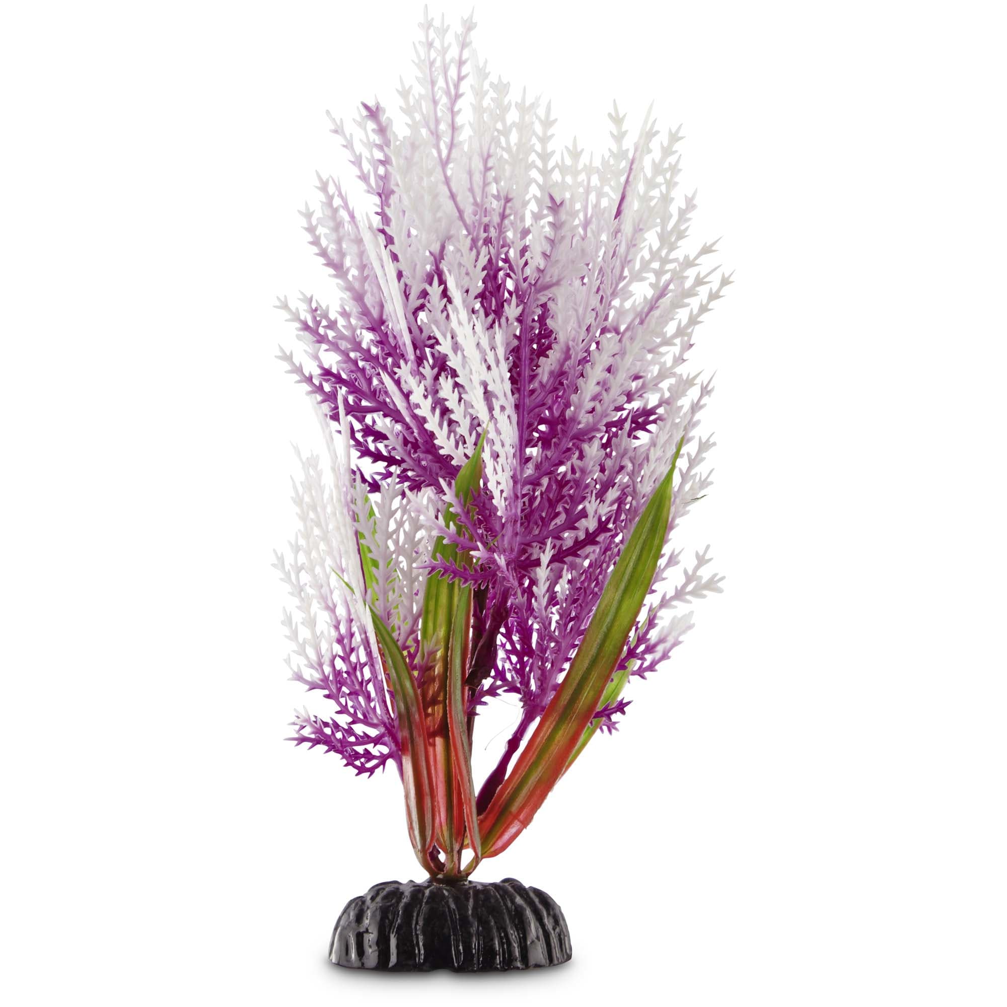imagitarium-purple-hairgrass-aquarium-plant-for-saltwater-fish