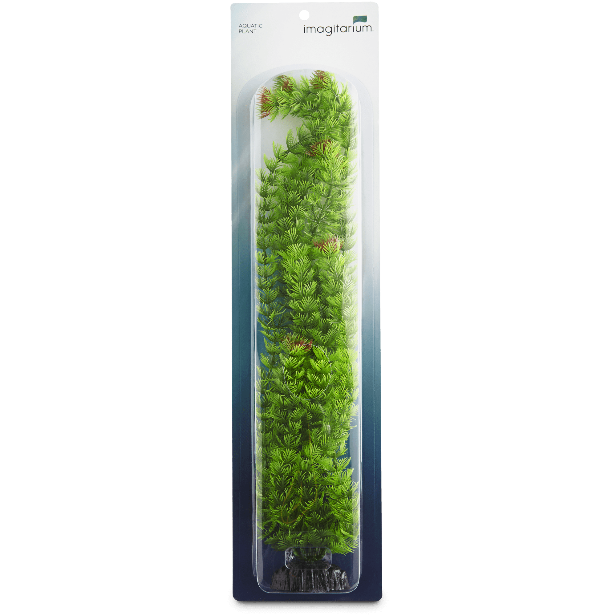 Imagitarium Extra Large Ambulia Green Plant Petco