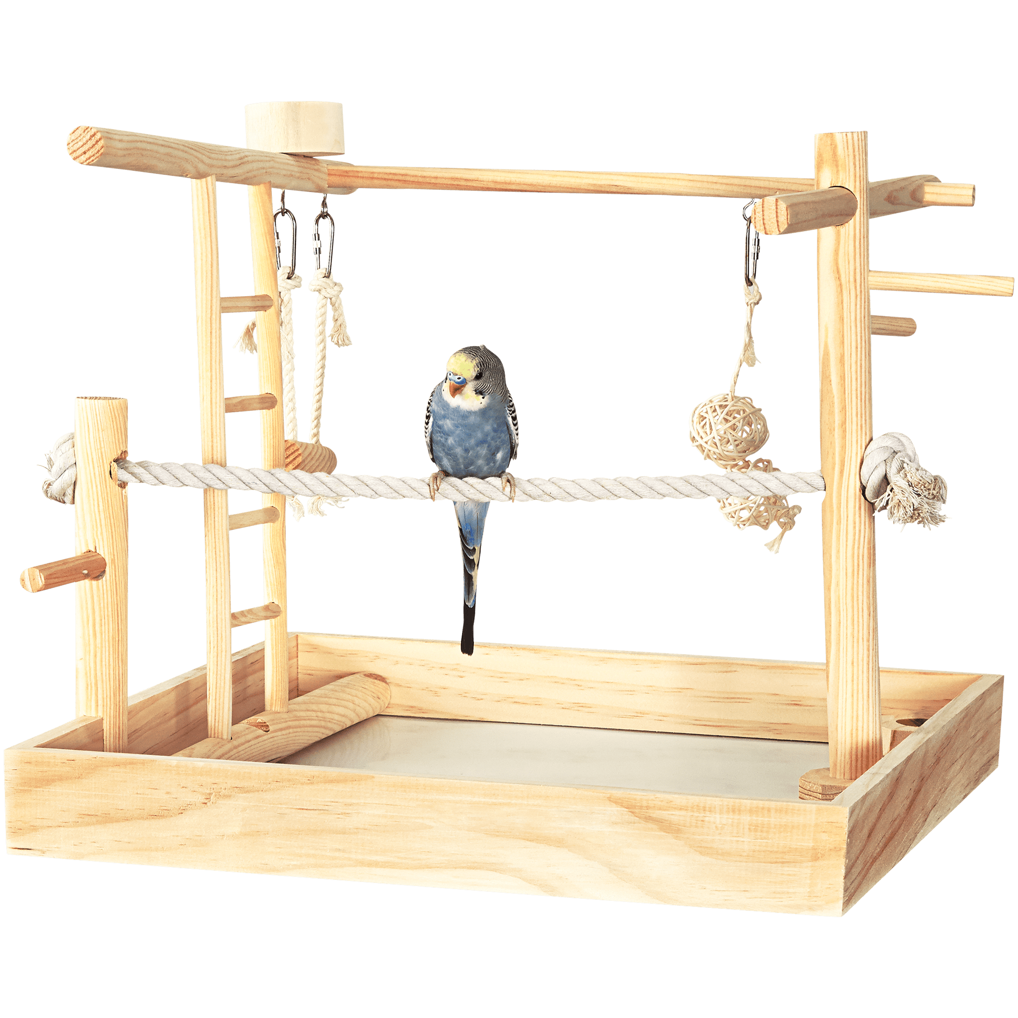 Bird Perches & Play Gyms You'll Love