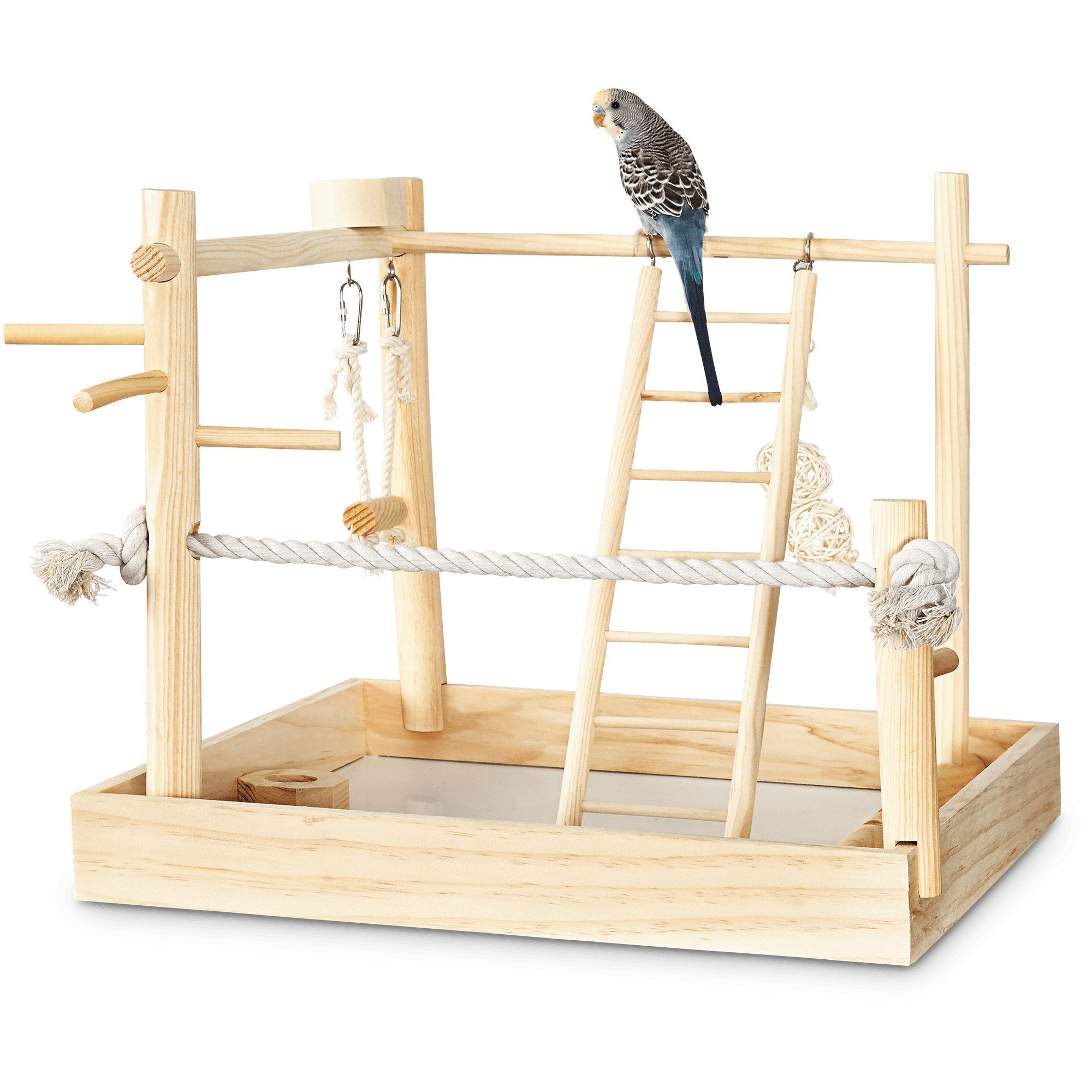 Bird play gym clearance petbarn