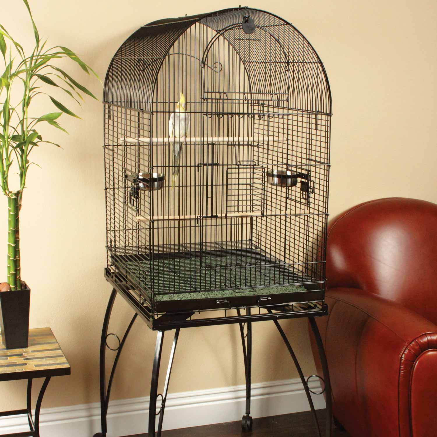 The Best Liner To Use In Your Parrot's Cage