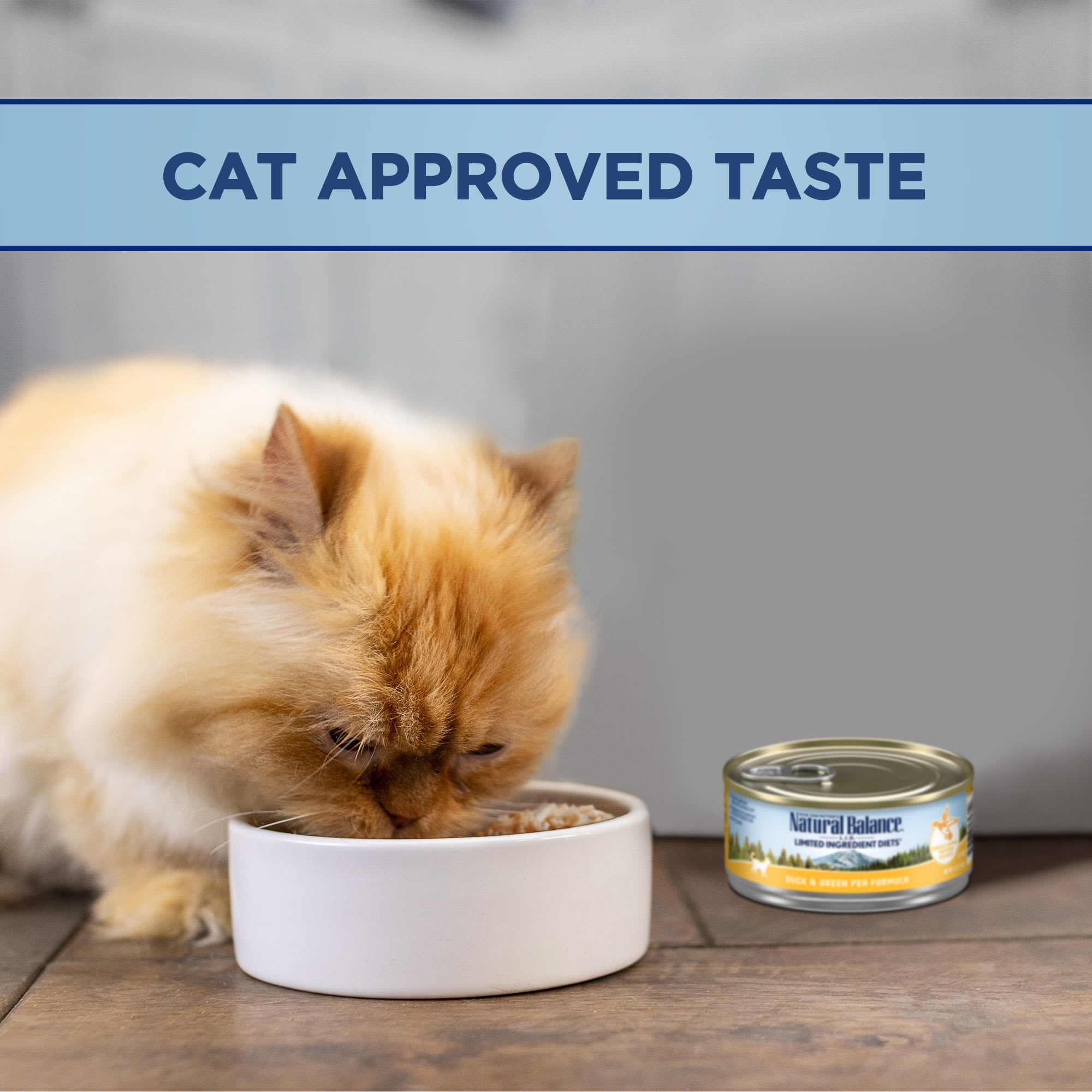 Natural Balance Limited Ingredient Adult Grain Free Wet Canned Cat