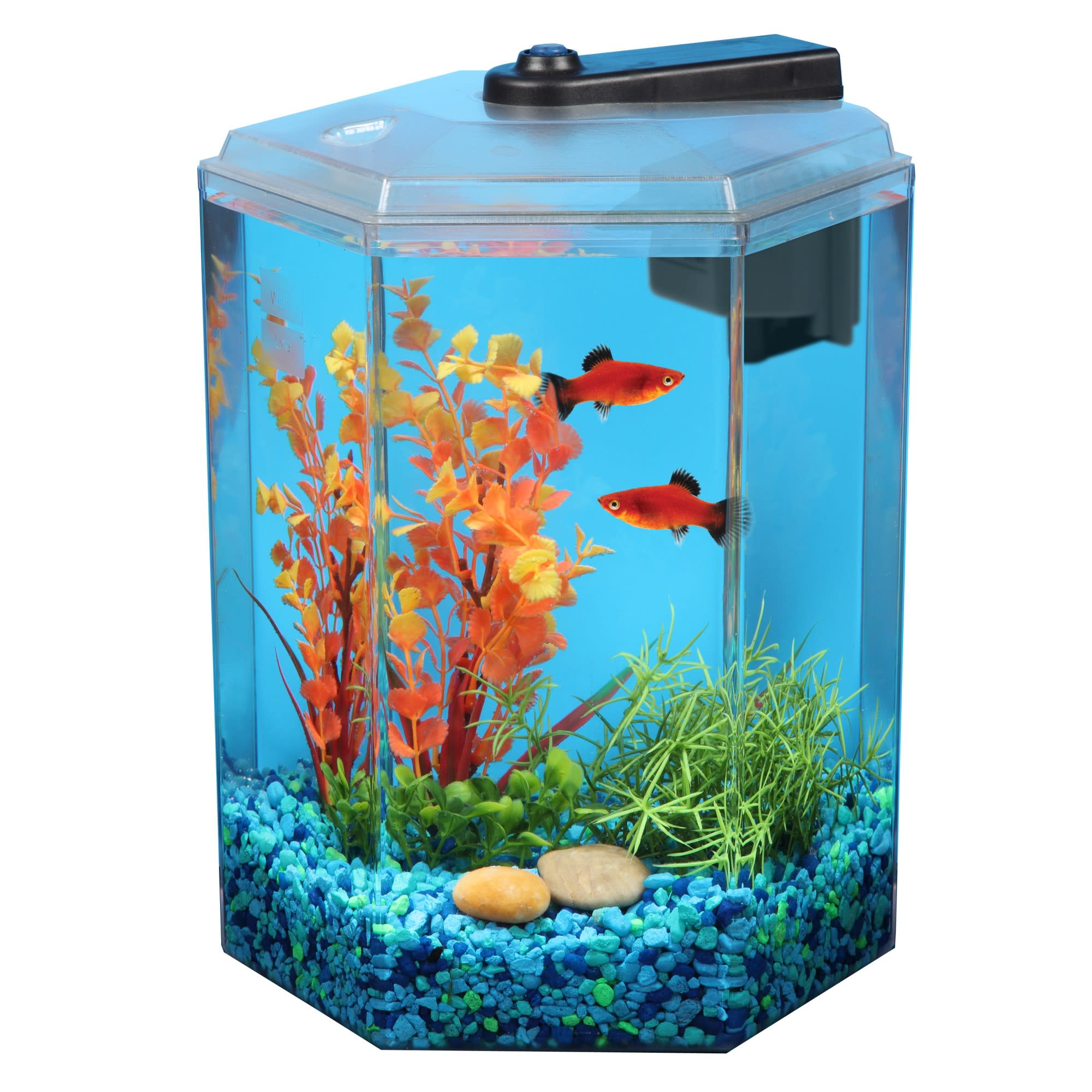 PONDON Fish Tank, 3 Gallon Glass Aquarium, 3 in 1 Fish Tank with Filter and  Light, Desktop Small Fish Tank for Betta Fish, Shrimp, Goldfish (Black