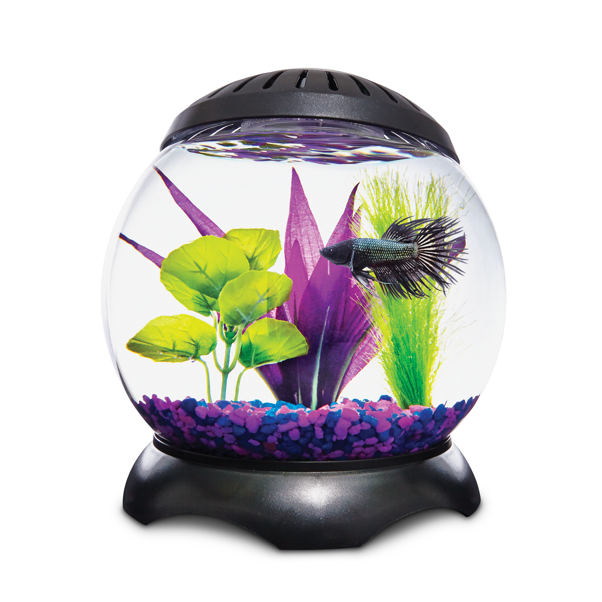 Imagitarium Glass Versa Aquarium, 9.5 Gallons
