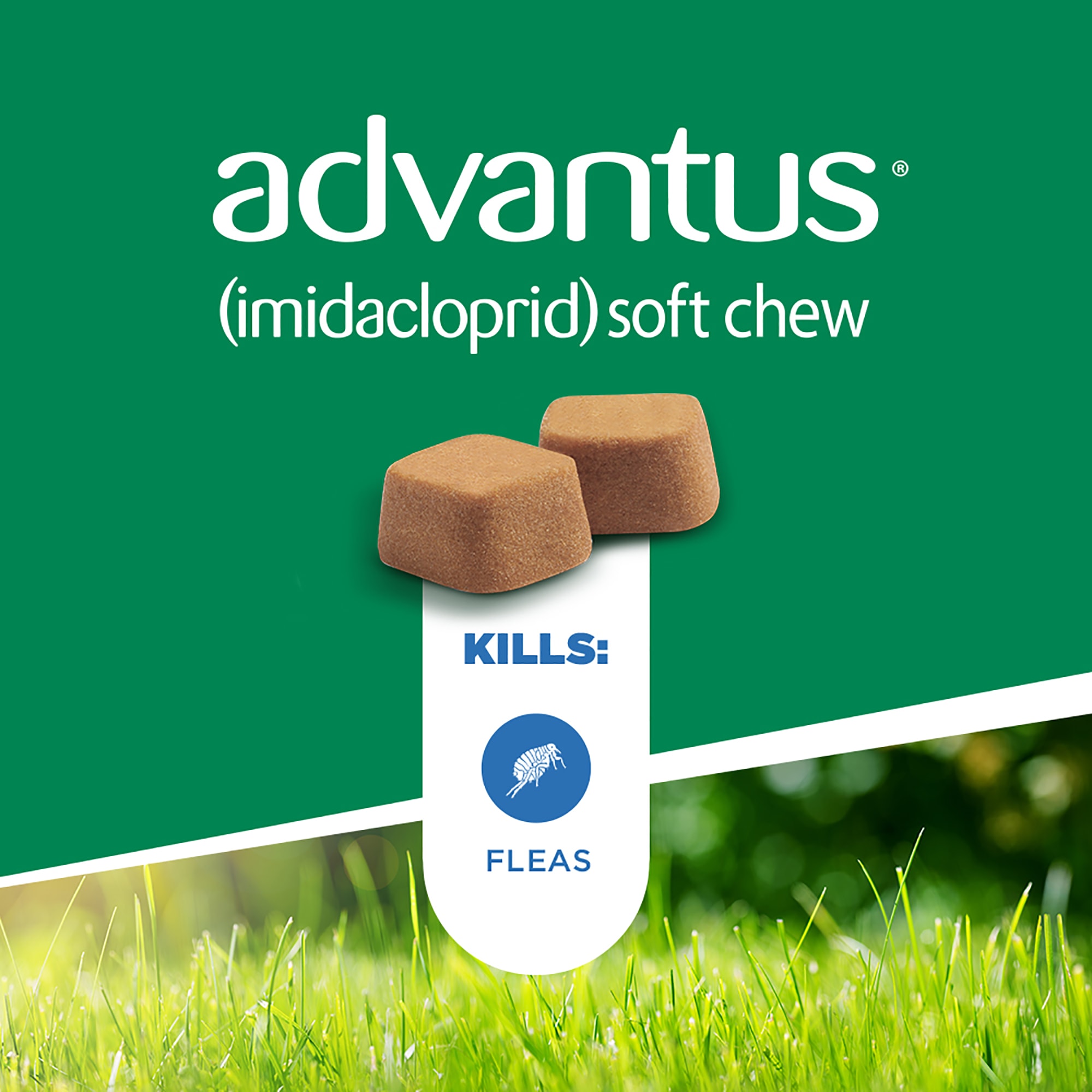 Advantus flea cheap soft chews