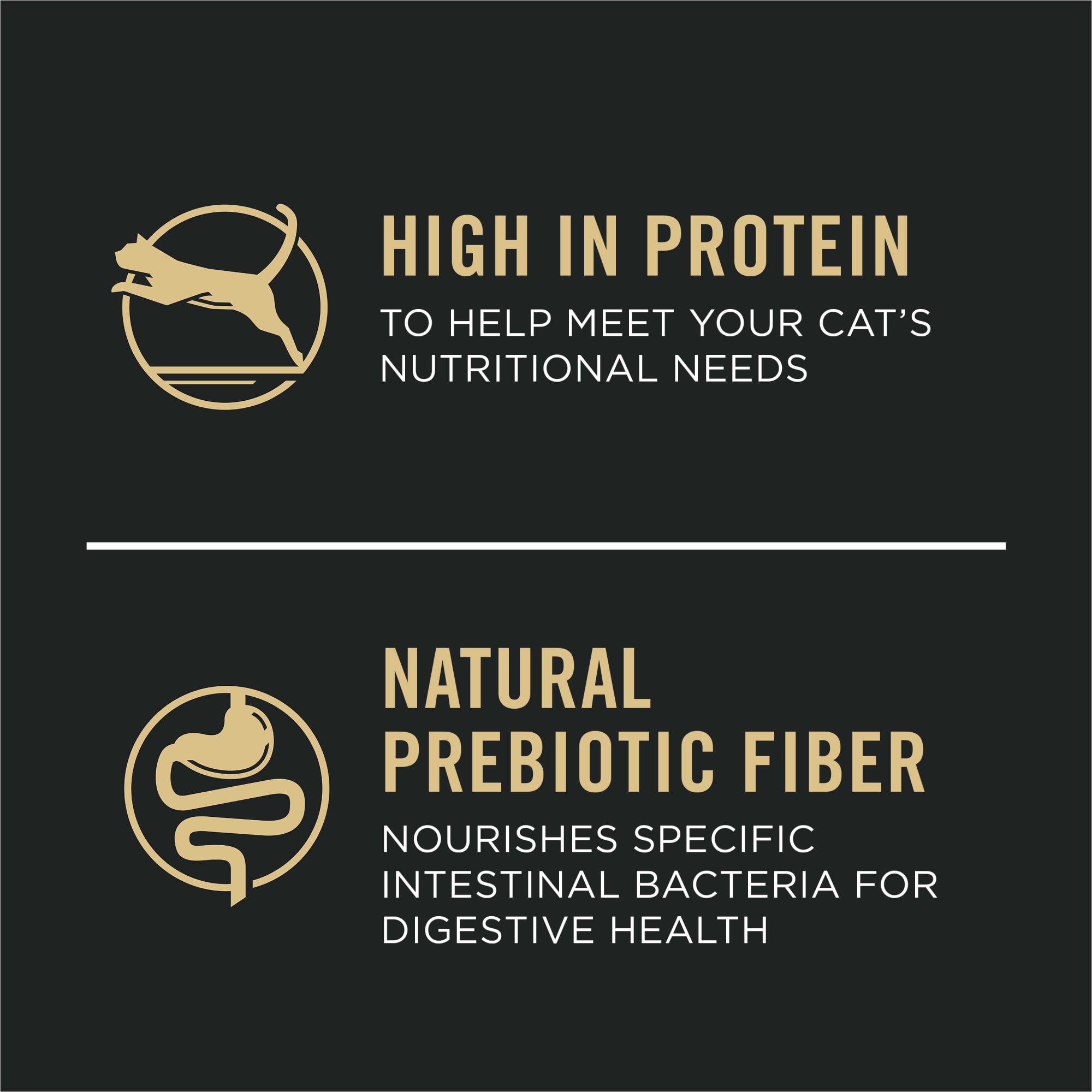 purina pro plan with probiotics dry cat food