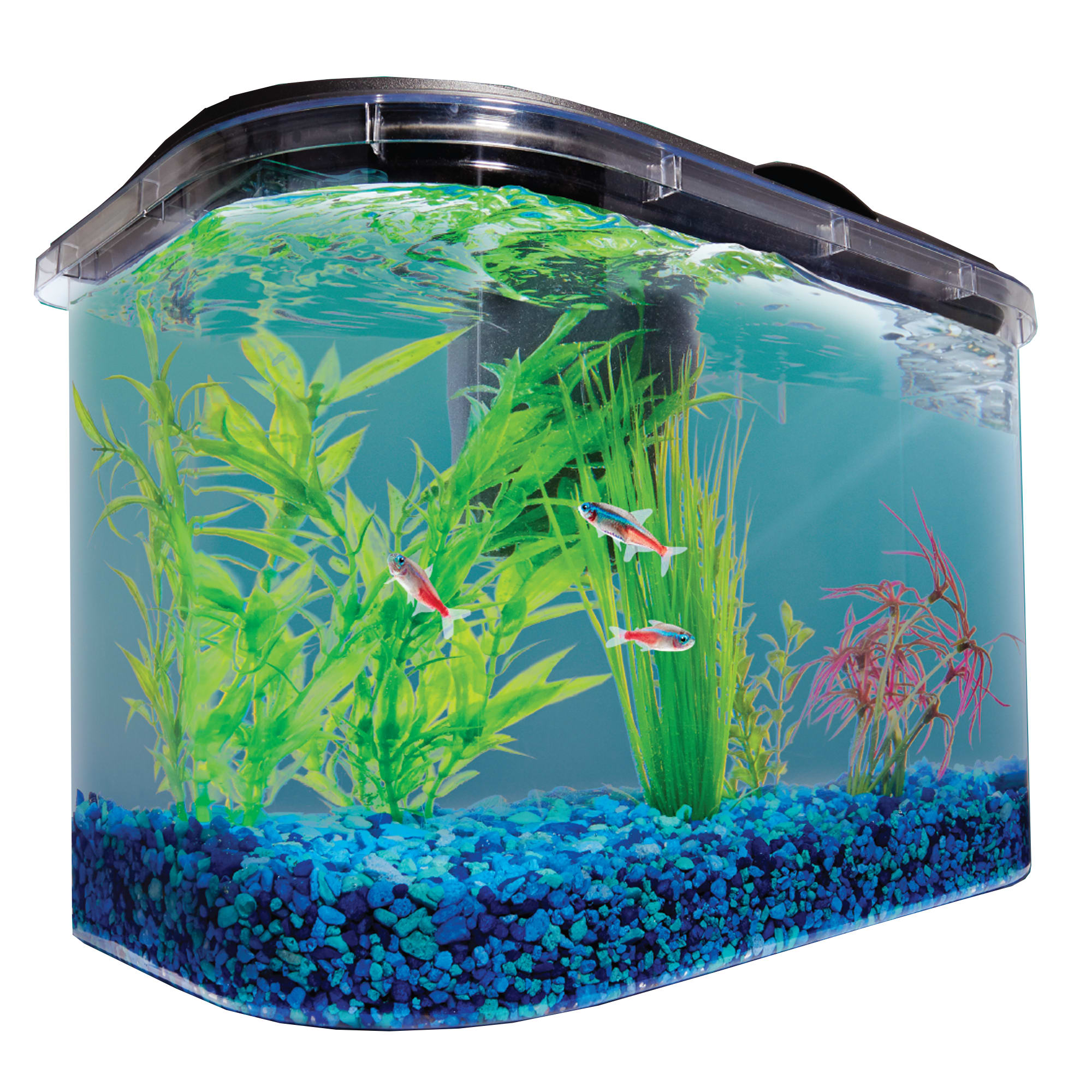 Petco betta hotsell fish care