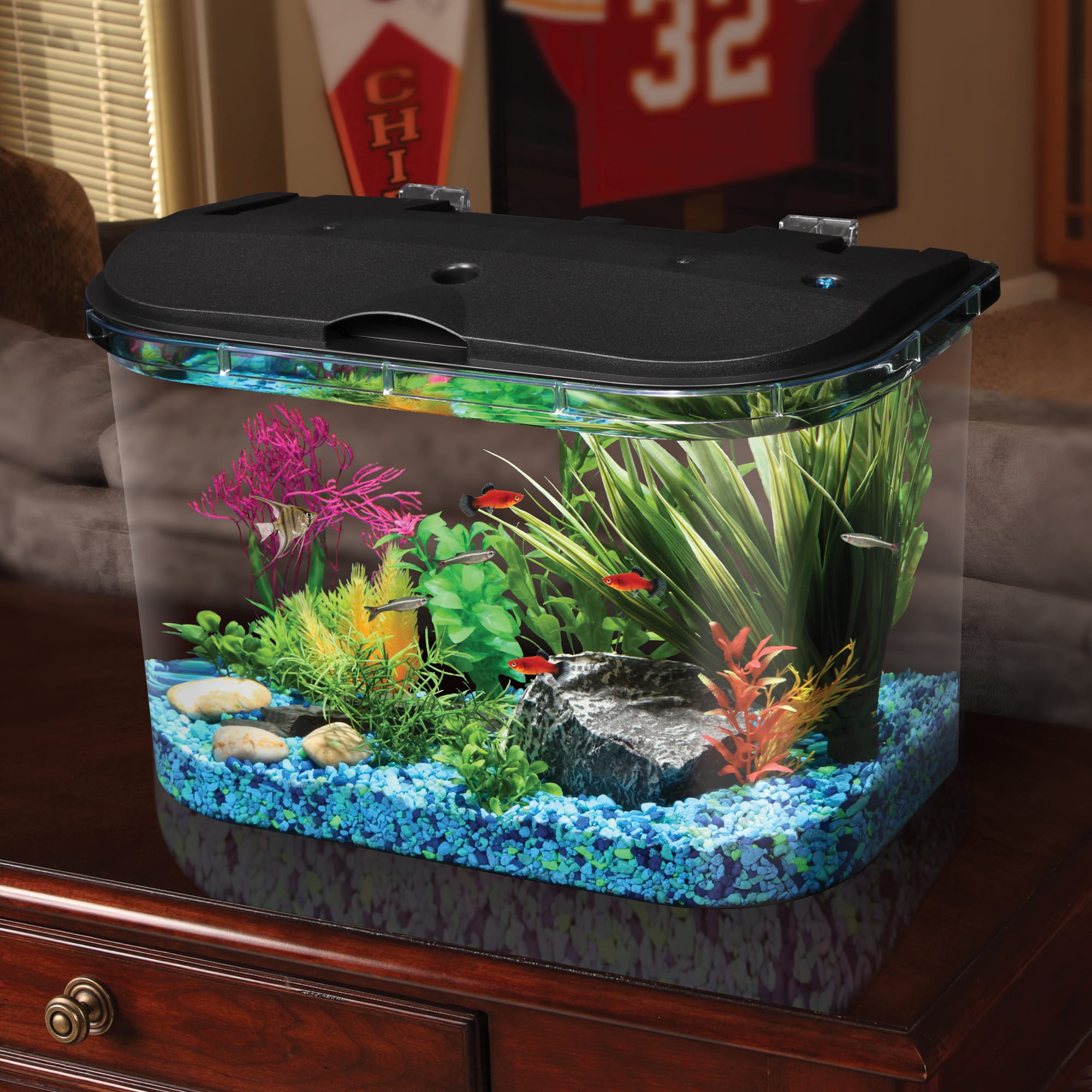 Imagitarium 5.2 gallon sales freshwater aquarium