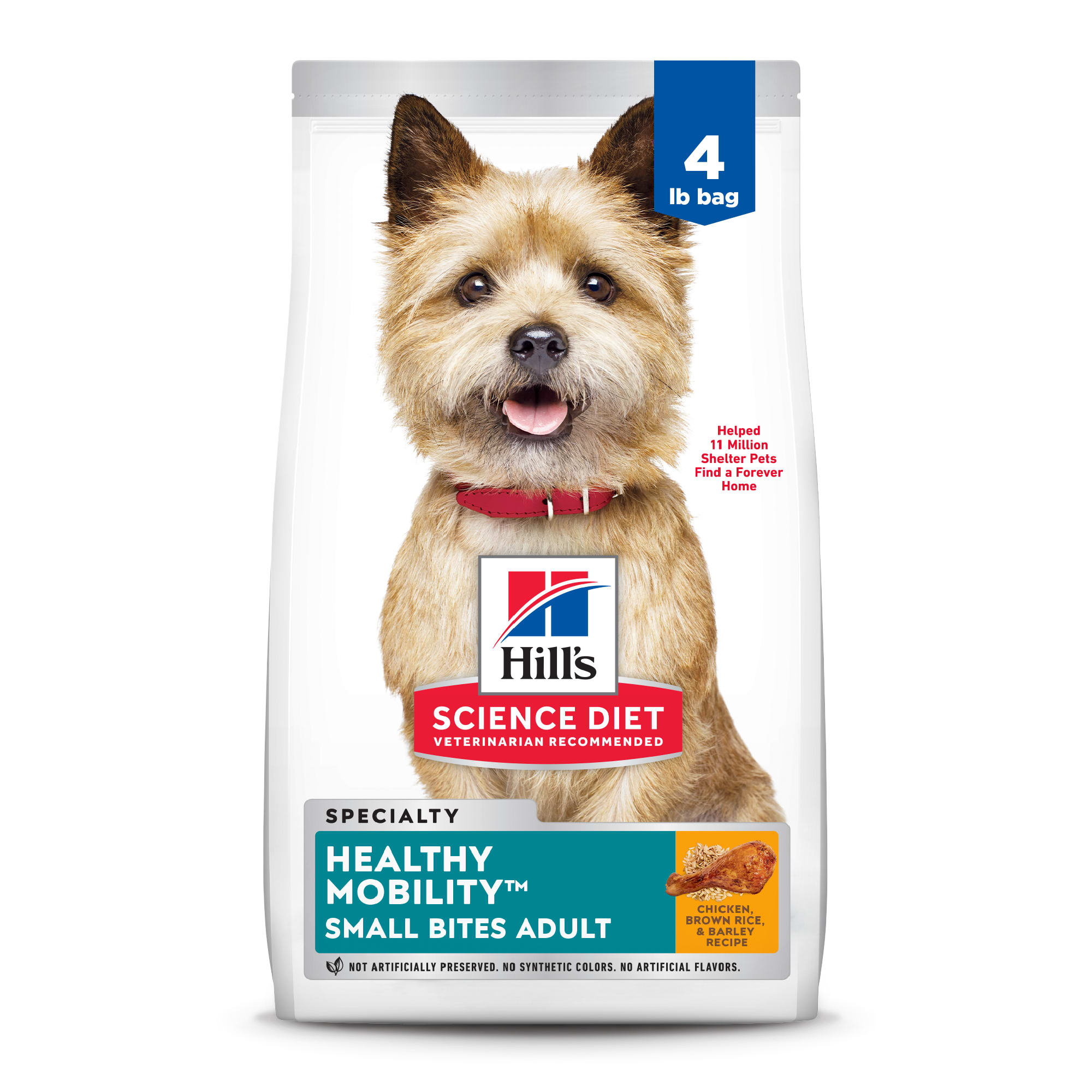 health diet dog food