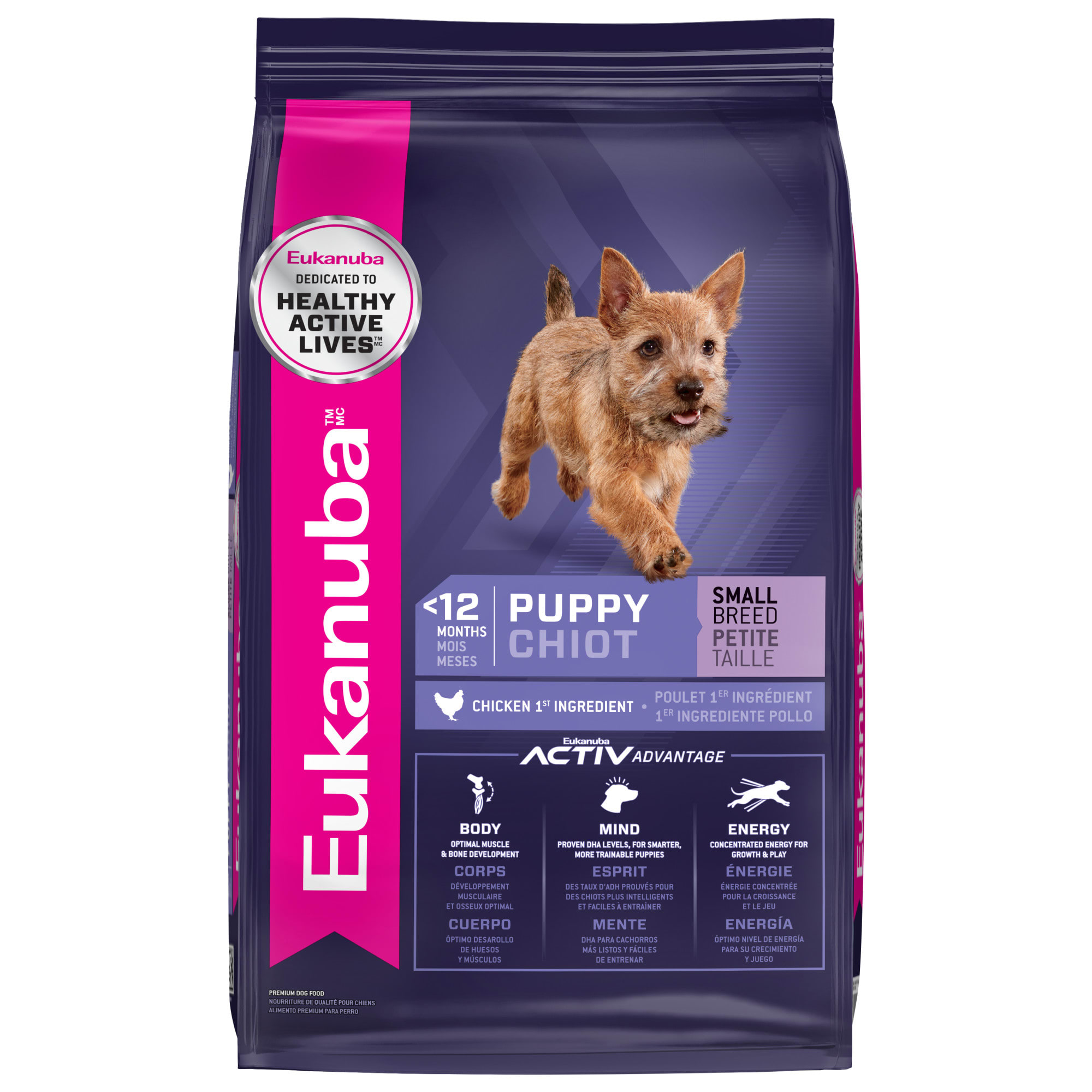 Eukanuba small best sale dog food