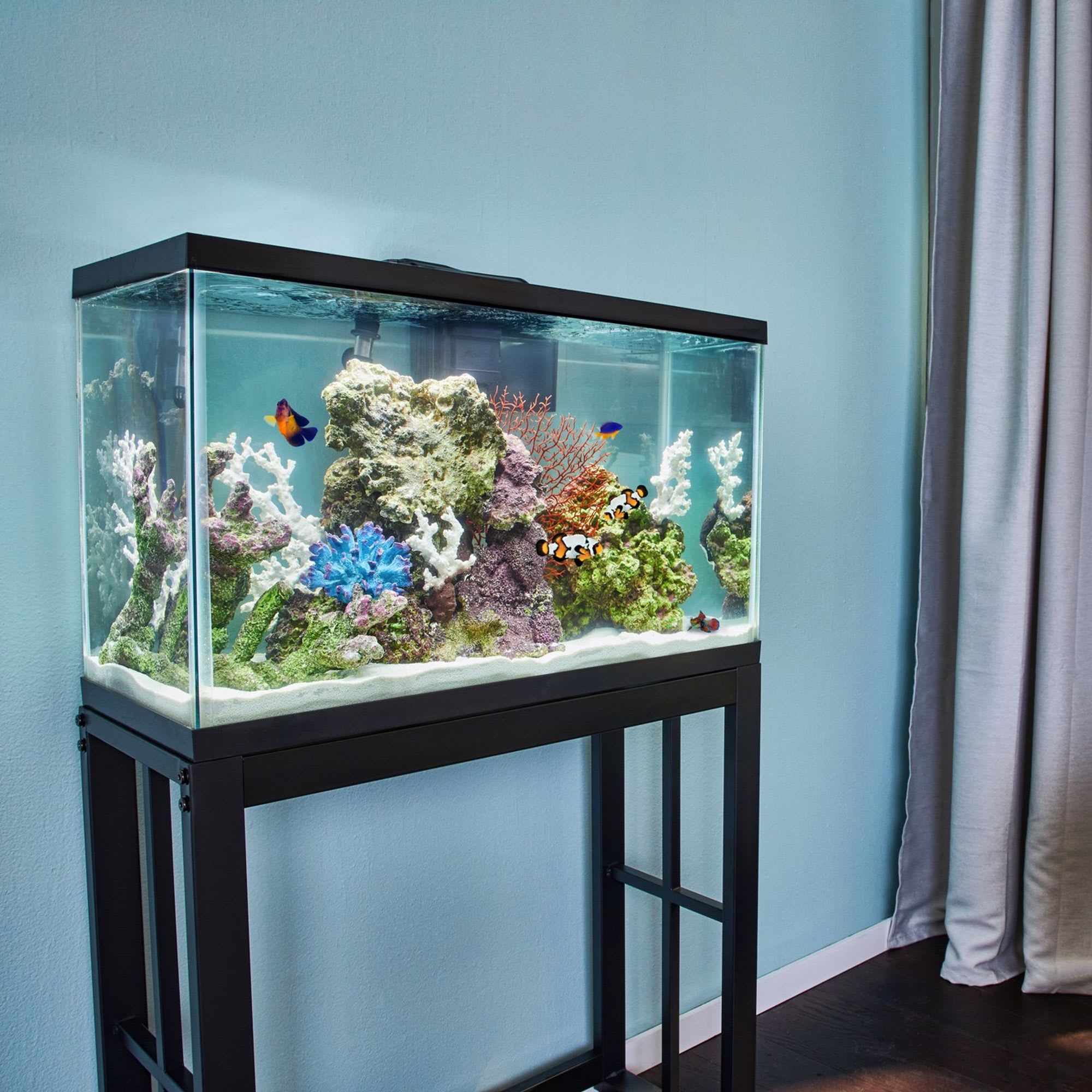 29 gallon aquarium shop hood with light