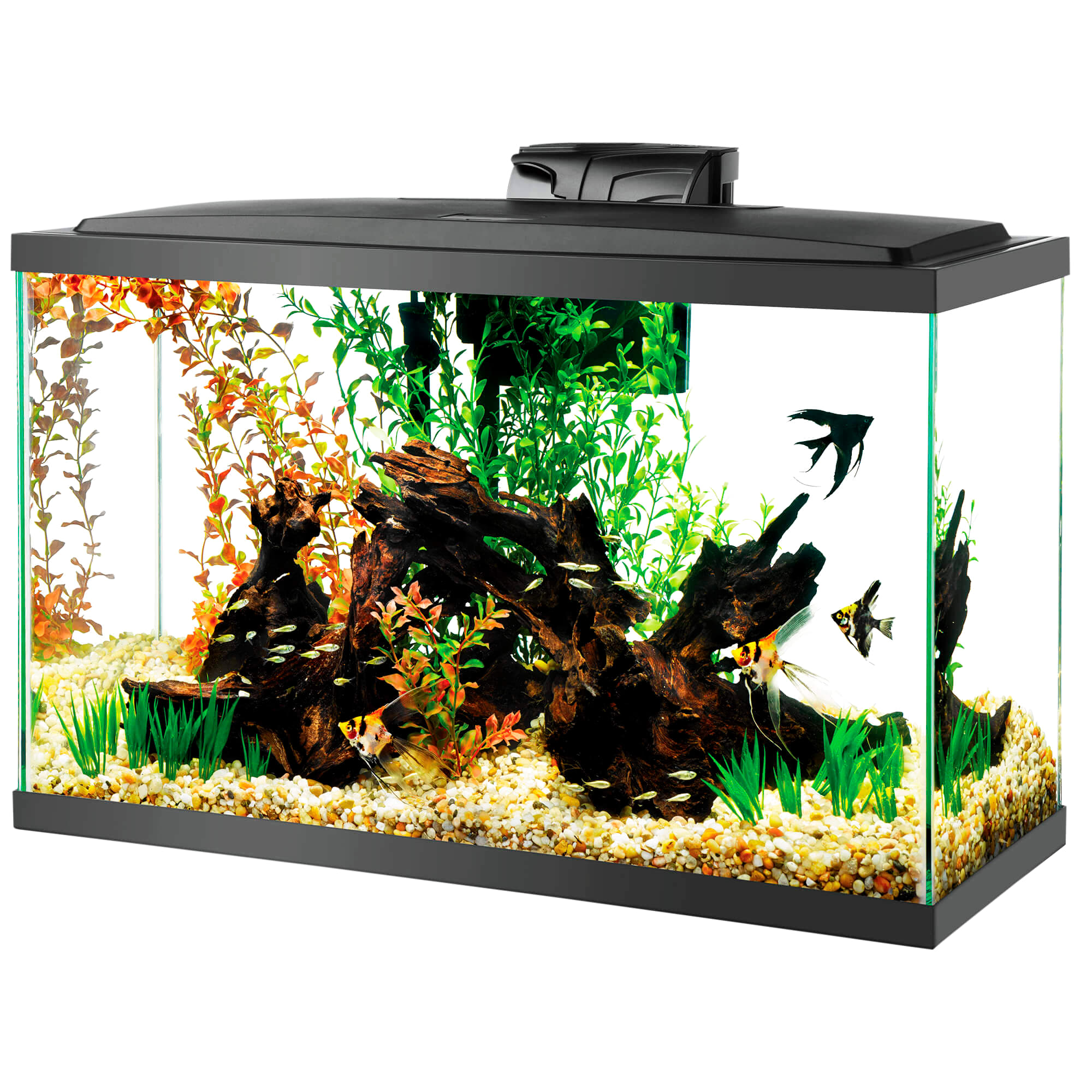 Aqueon Aquarium Glass 20 Gallon Starter Kit with LED Lighting 20