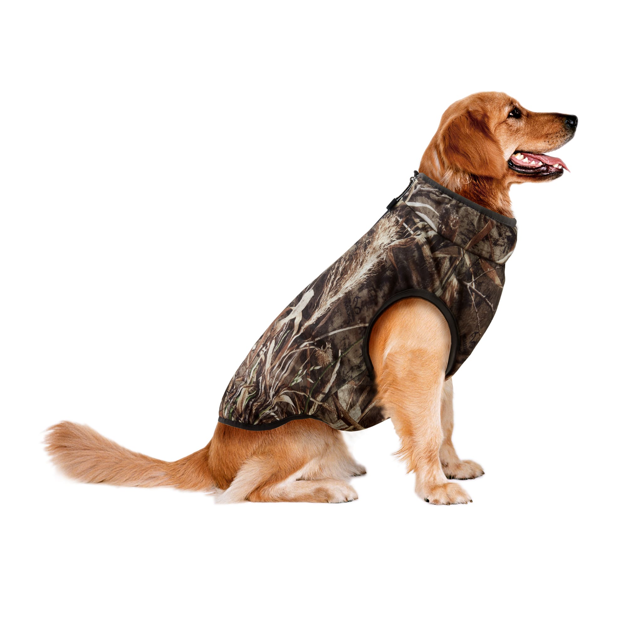 Dog bathing suits petco best sale