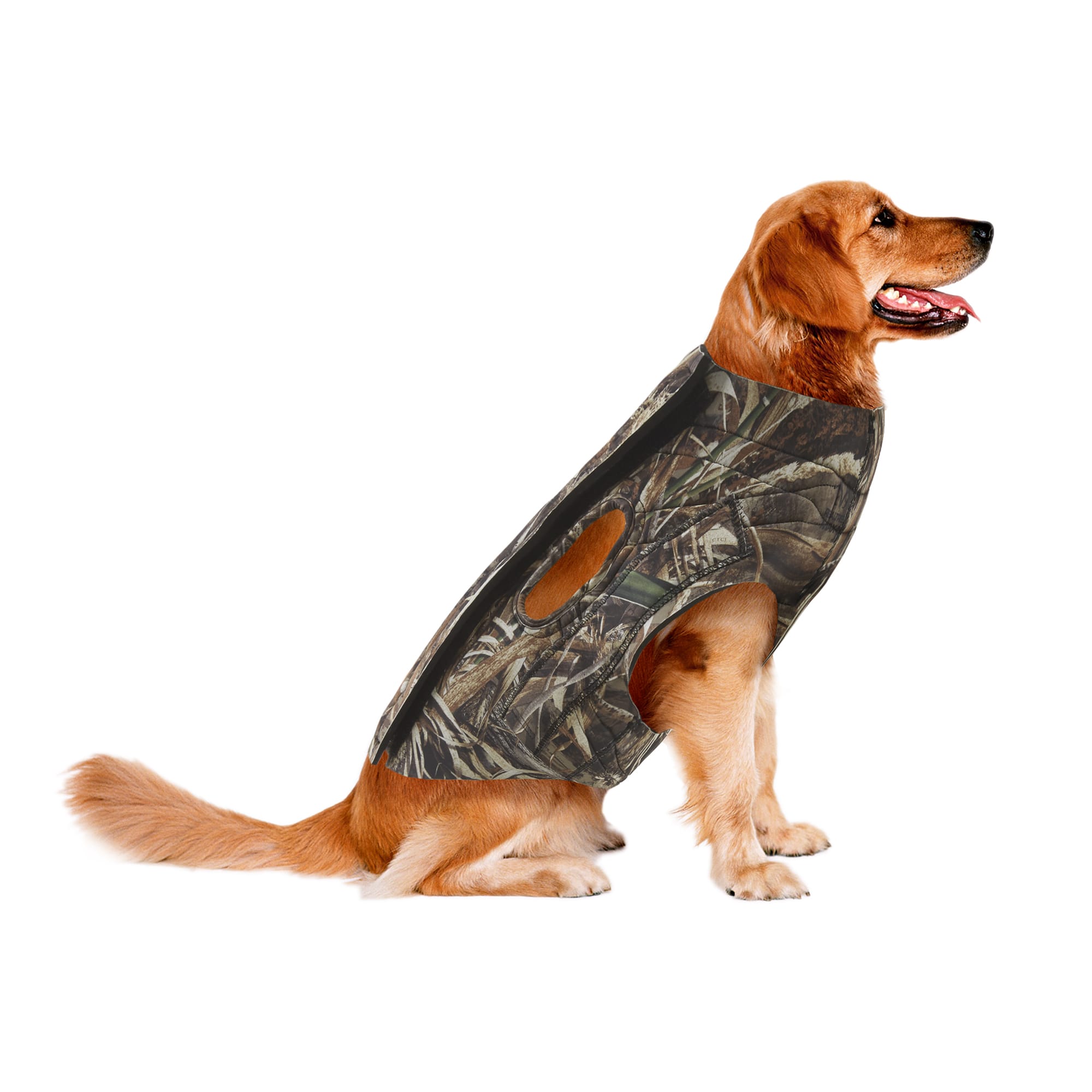 extra large dog vest