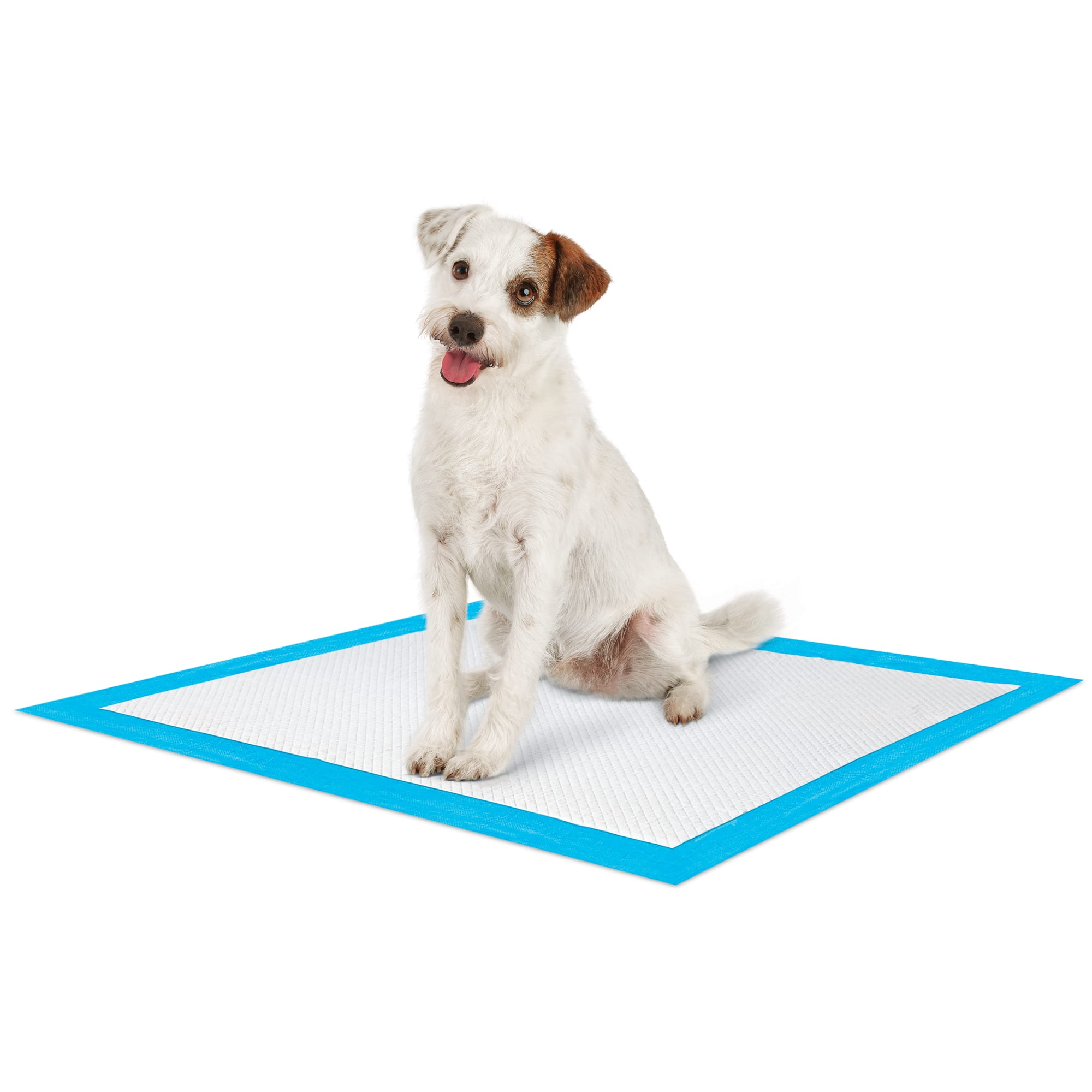 Potty pad 2025 holder petco