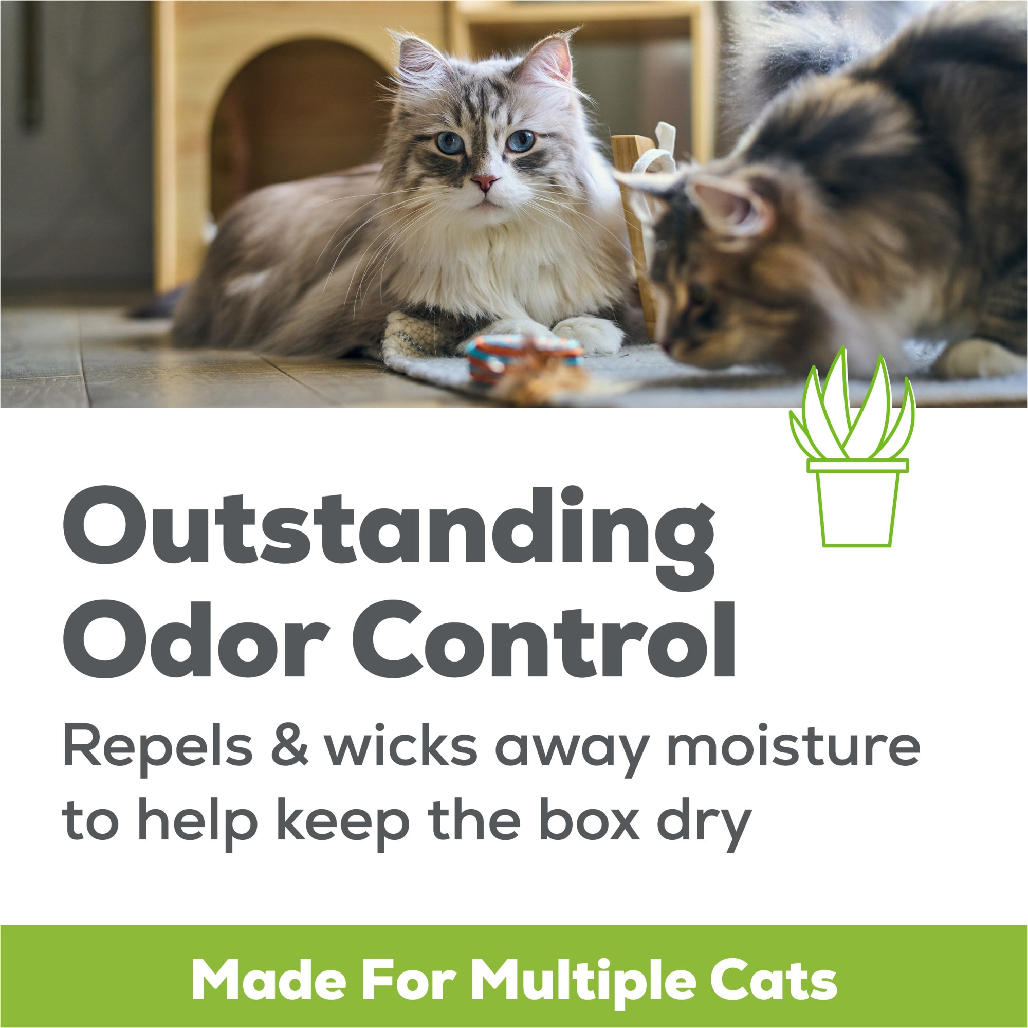 Tidy cat breeze outlet pellets coupon