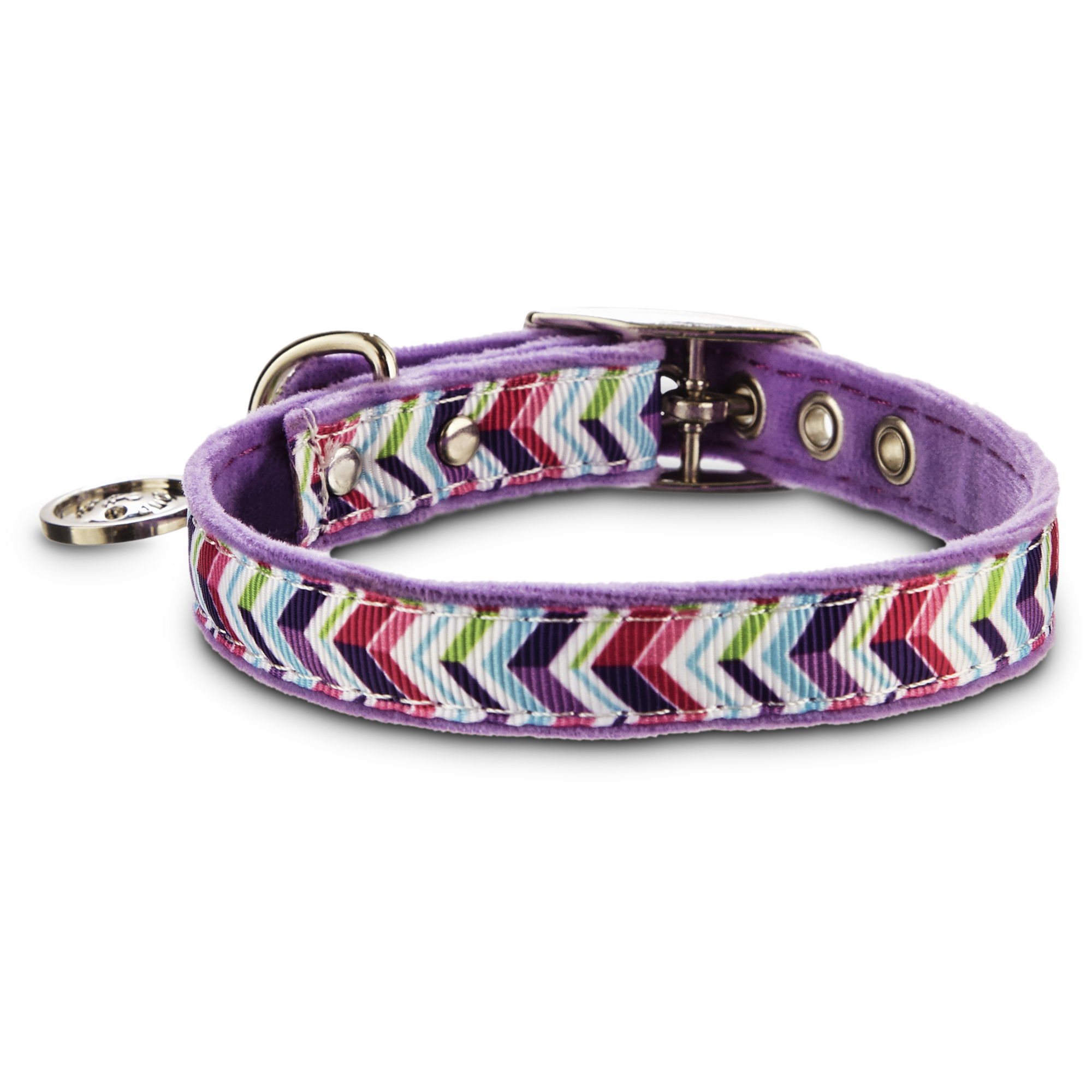 dog collars at petco