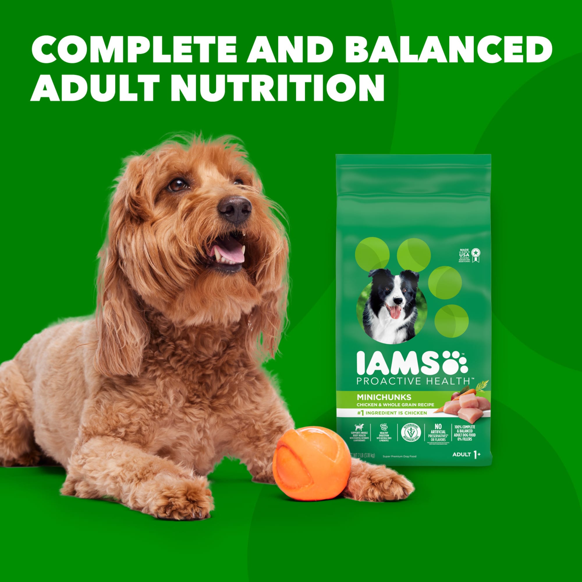 Iams Proactive Health Minichunks with Chicken Whole Grain Recipe