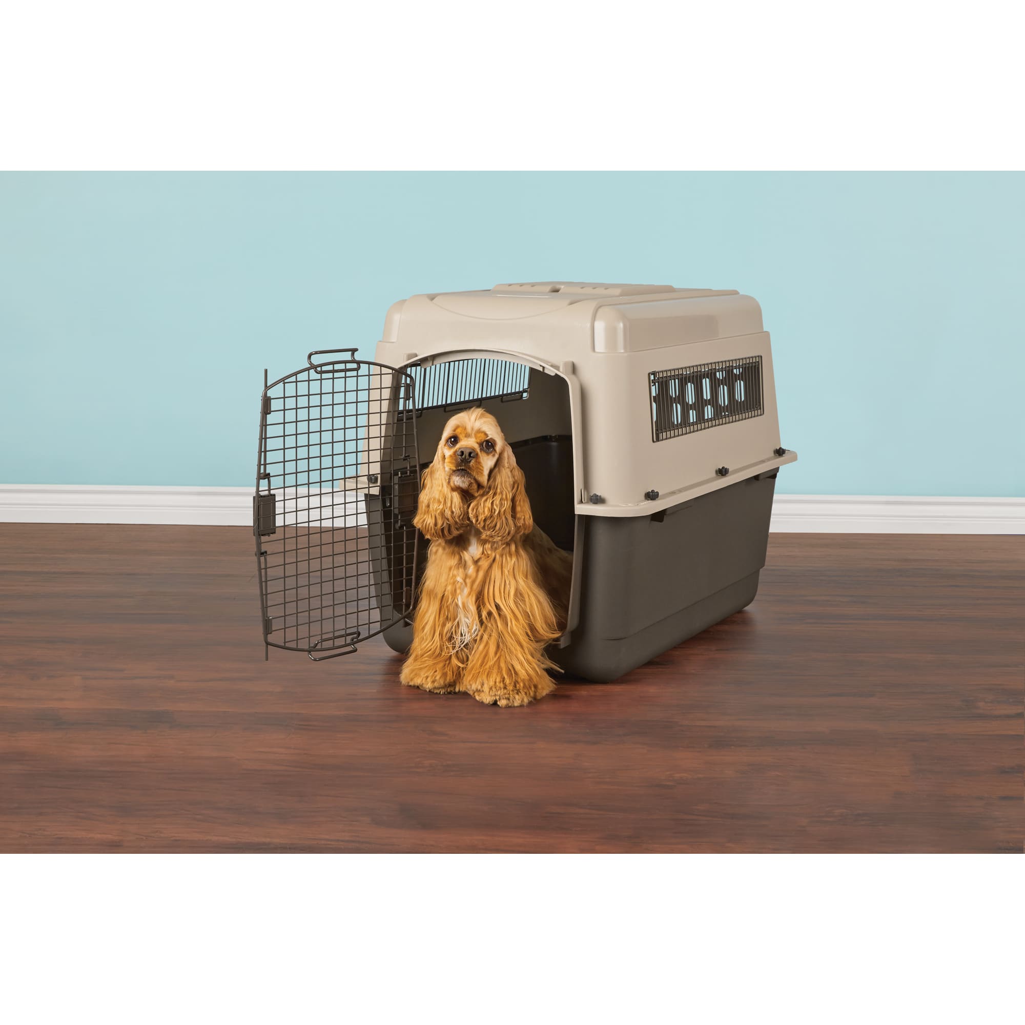 large dog transport cage