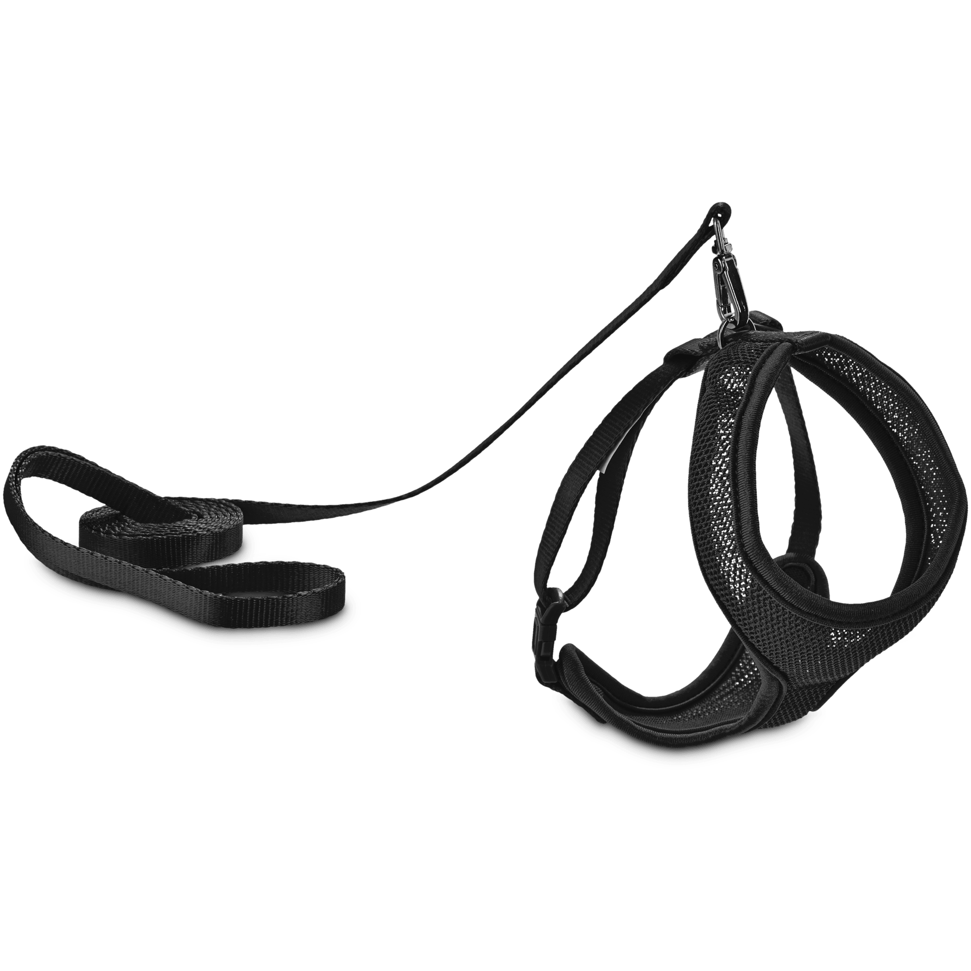 Good2Go Black Mesh Cat Harness & Lead Set | Petco