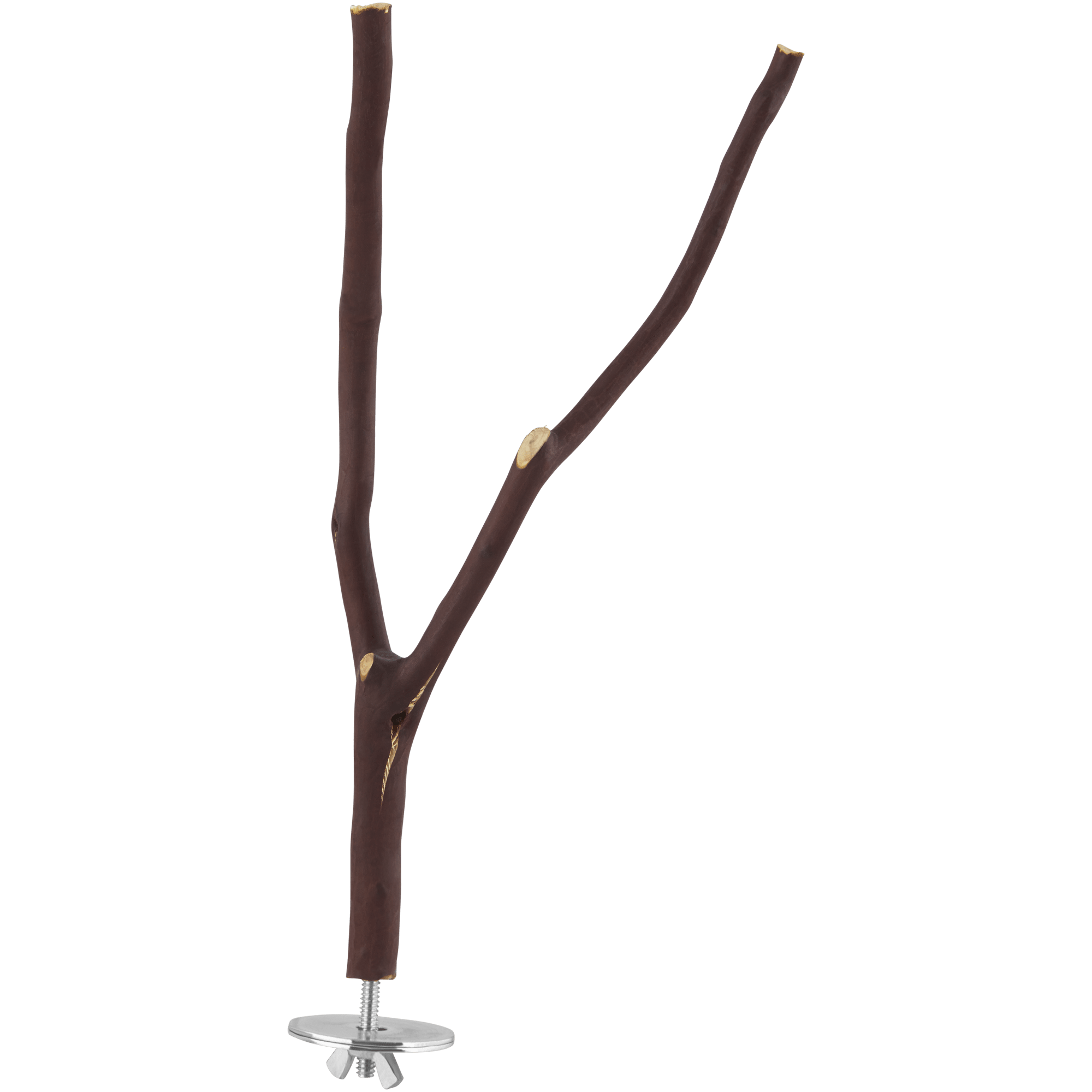 You & Me Bird Manzanita Wood Multi-Branch Bird Perch, Medium