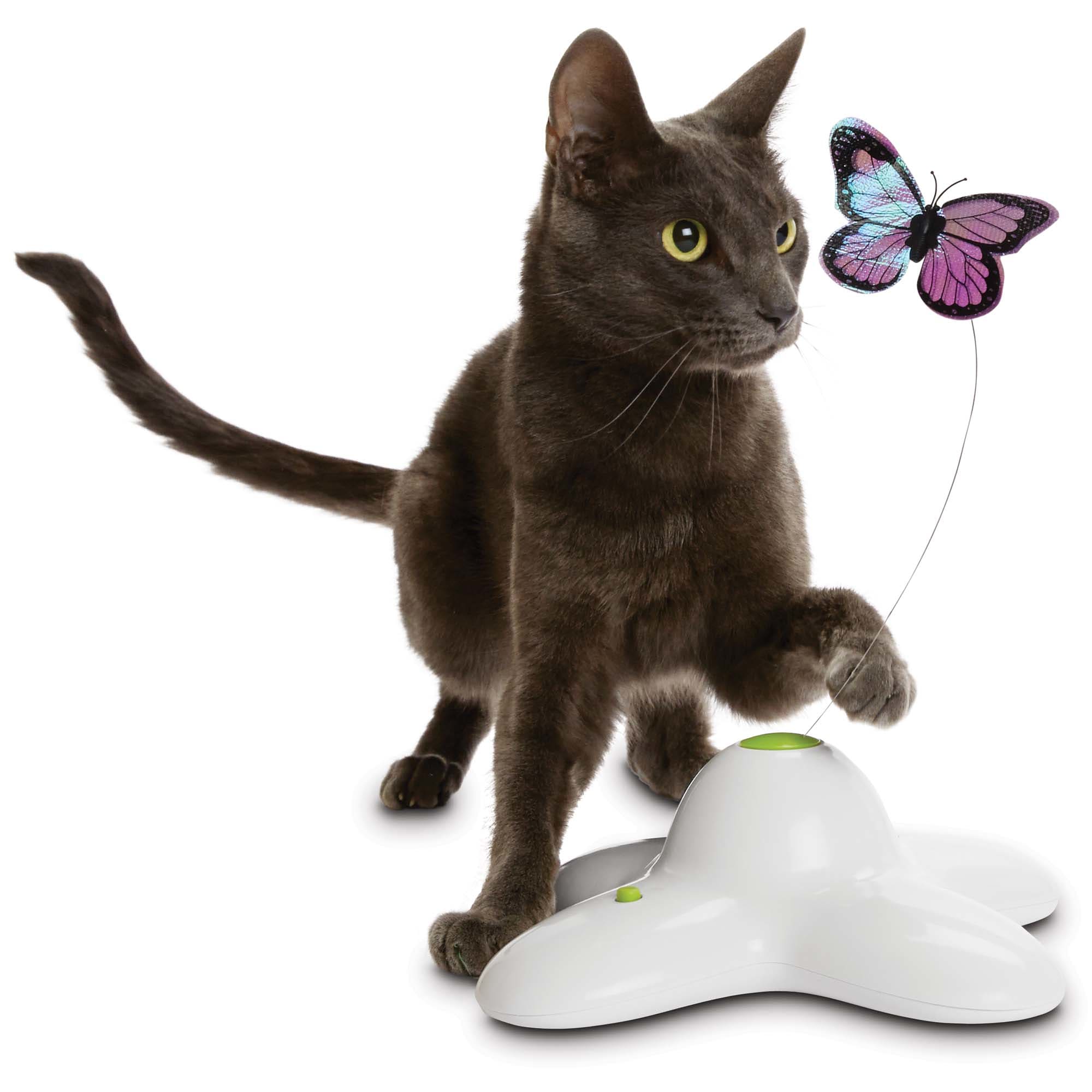 Electronic butterfly hot sale cat toy