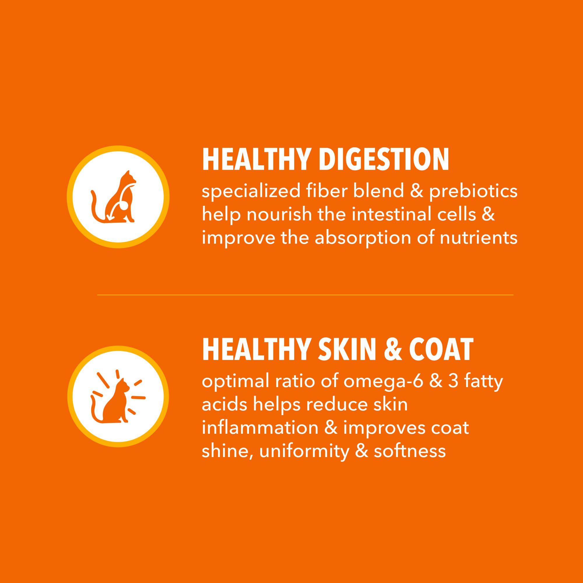 Iams Cat Food 22 Lb Bag Hot Sale laseb.fae.ufmg.br