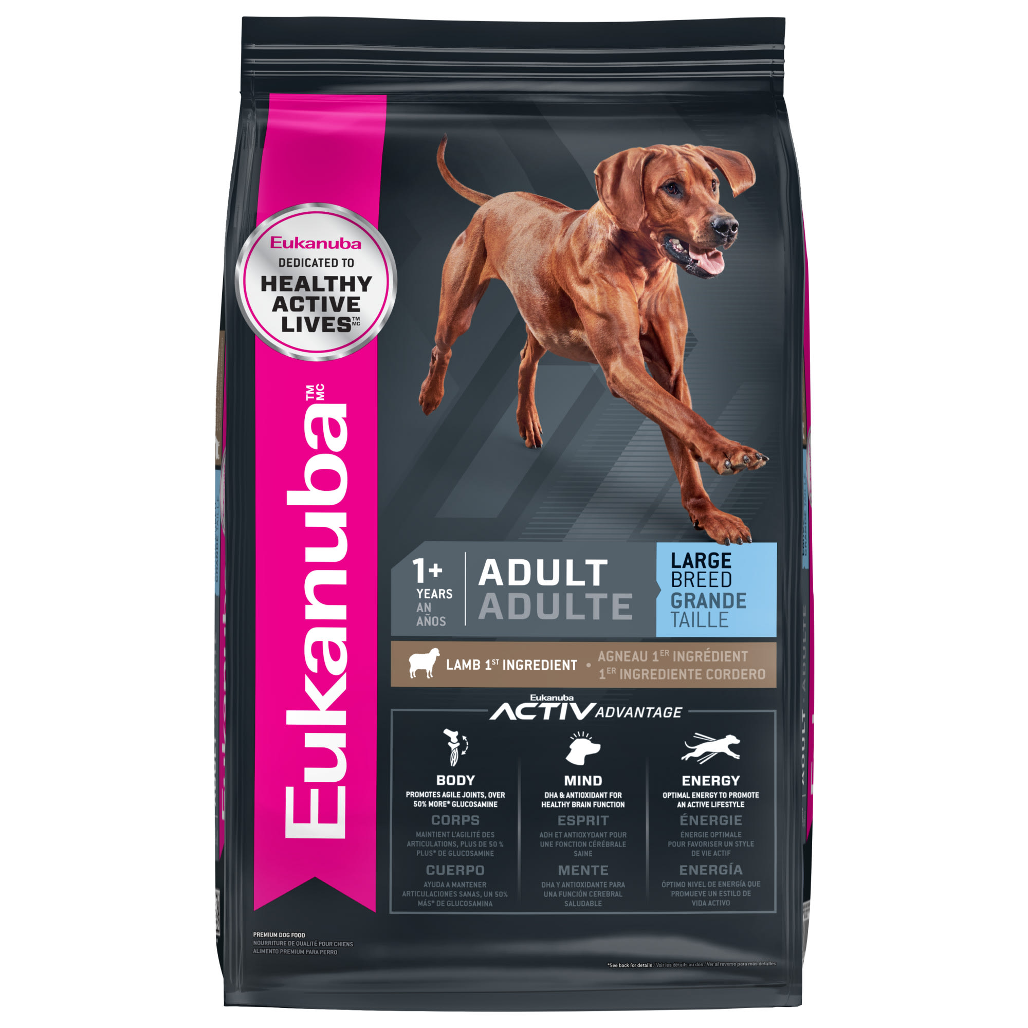 Adult dry 2024 dog food