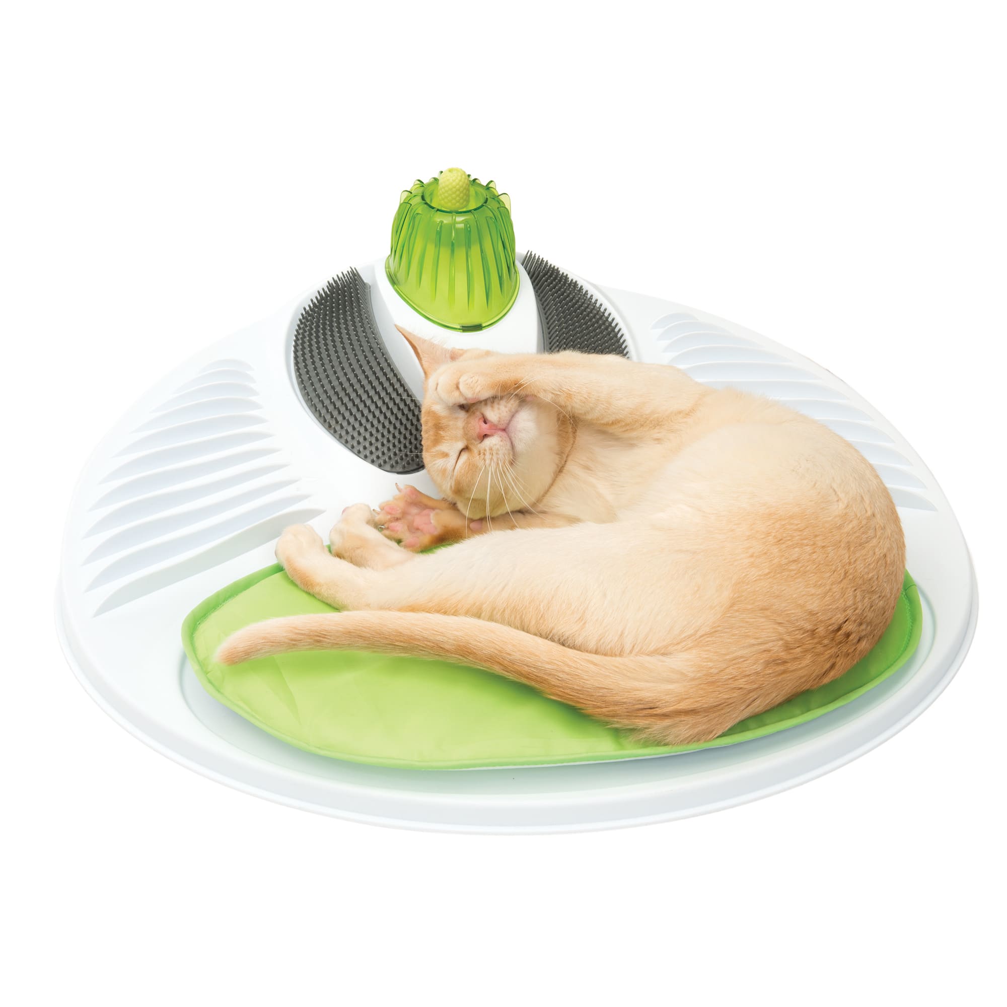 catit cat toys