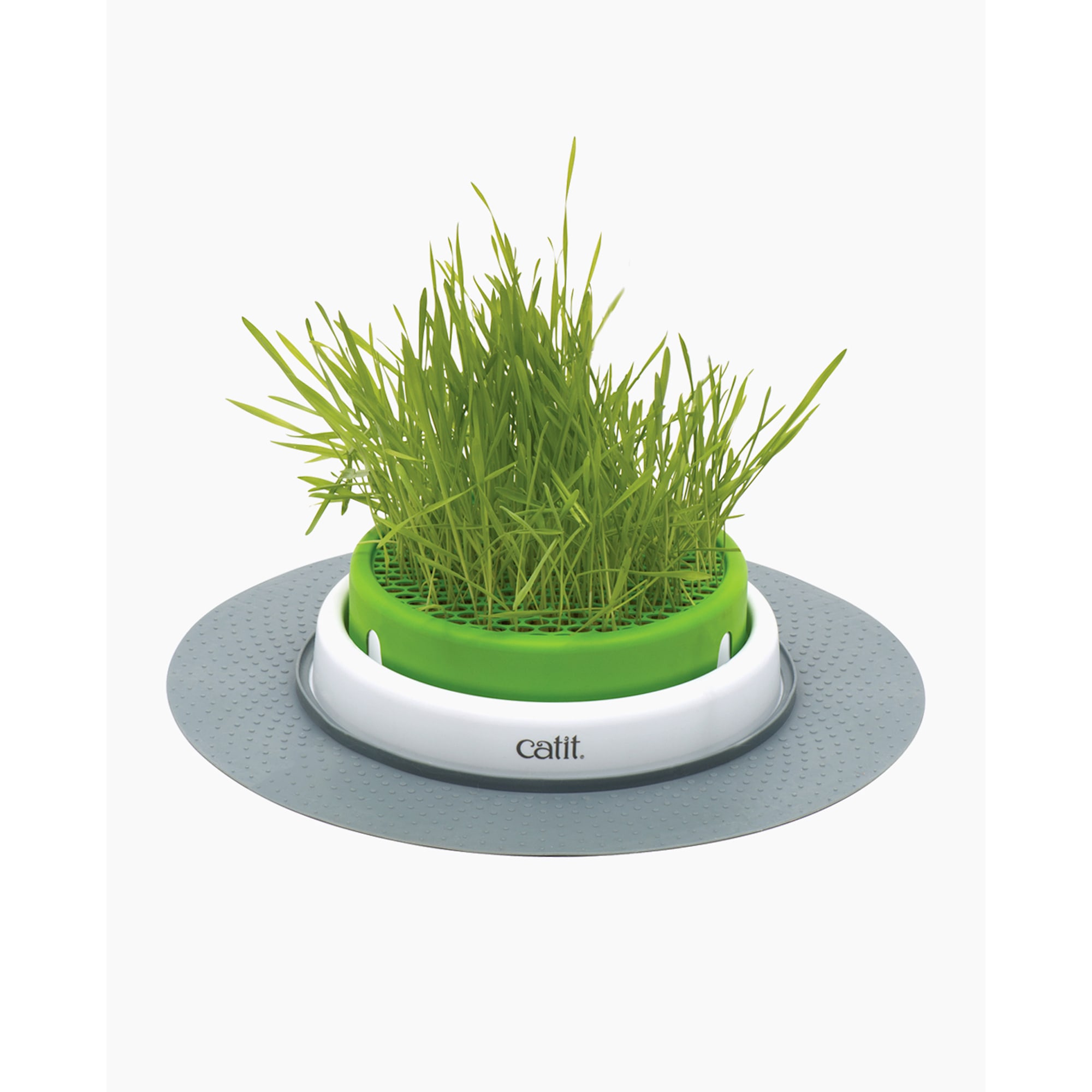 1.56 lb Multi-colour Catit Senses Grass Garden