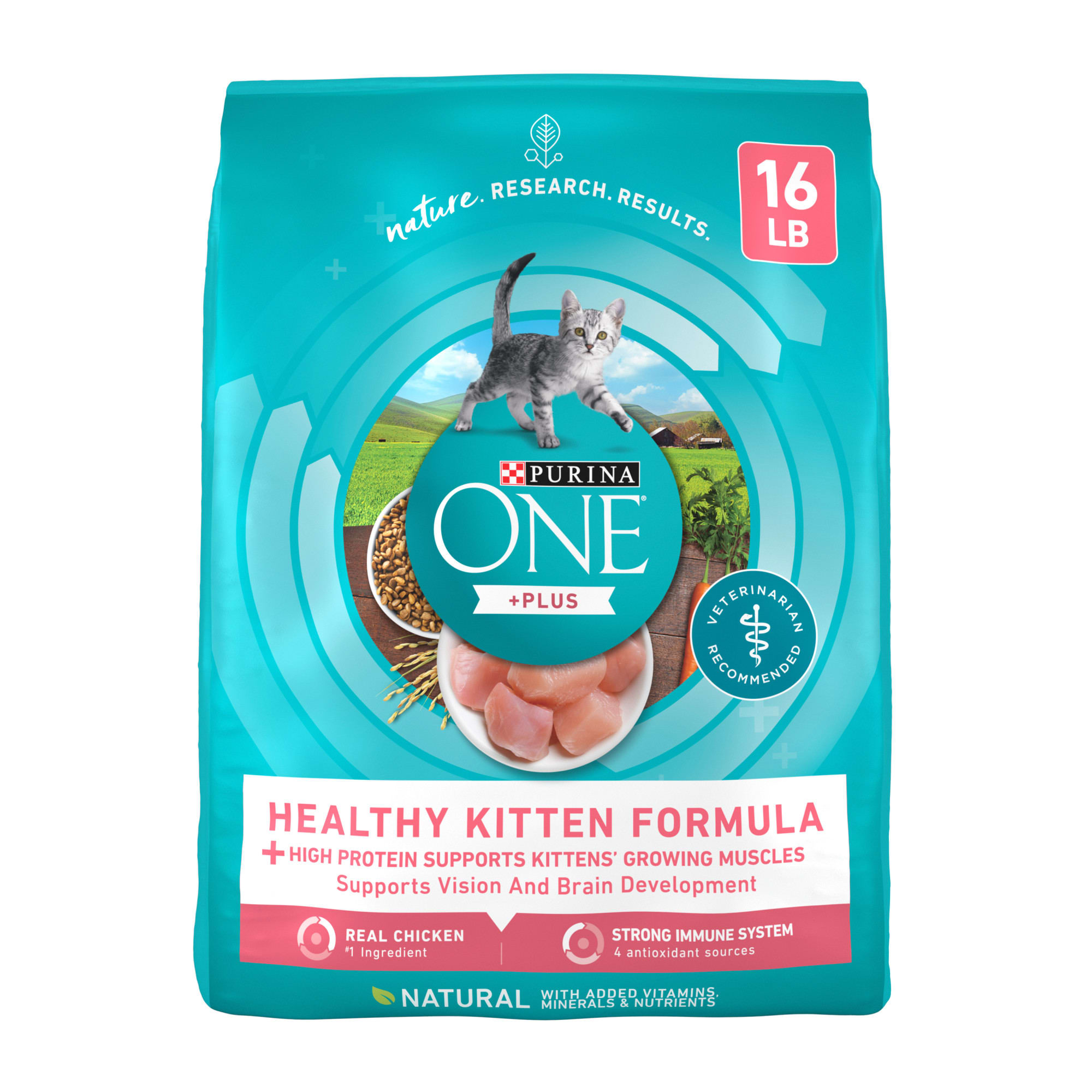 Purina ONE Natural Healthy Dry Kitten Food, 16 lbs., Bag ...