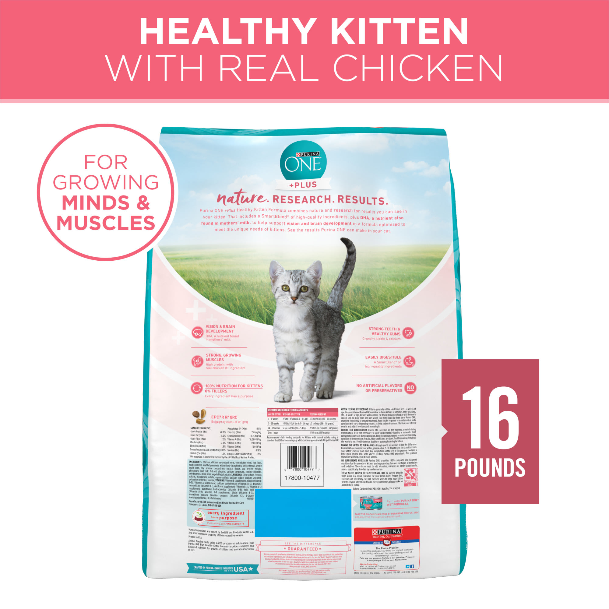 Purina ONE Healthy Kitten Plus Formula High Protein Natural Dry