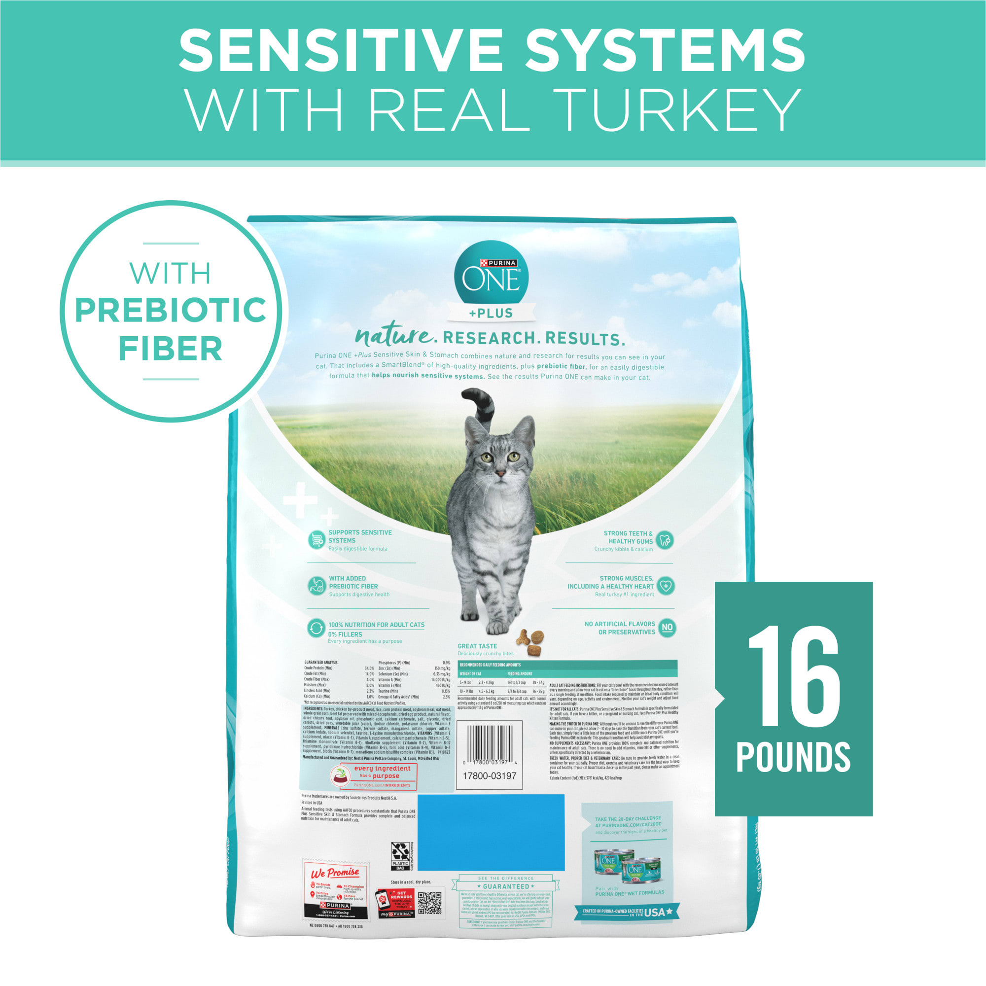 Purina ONE Sensitive Skin and Stomach Formula Plus Natural Dry